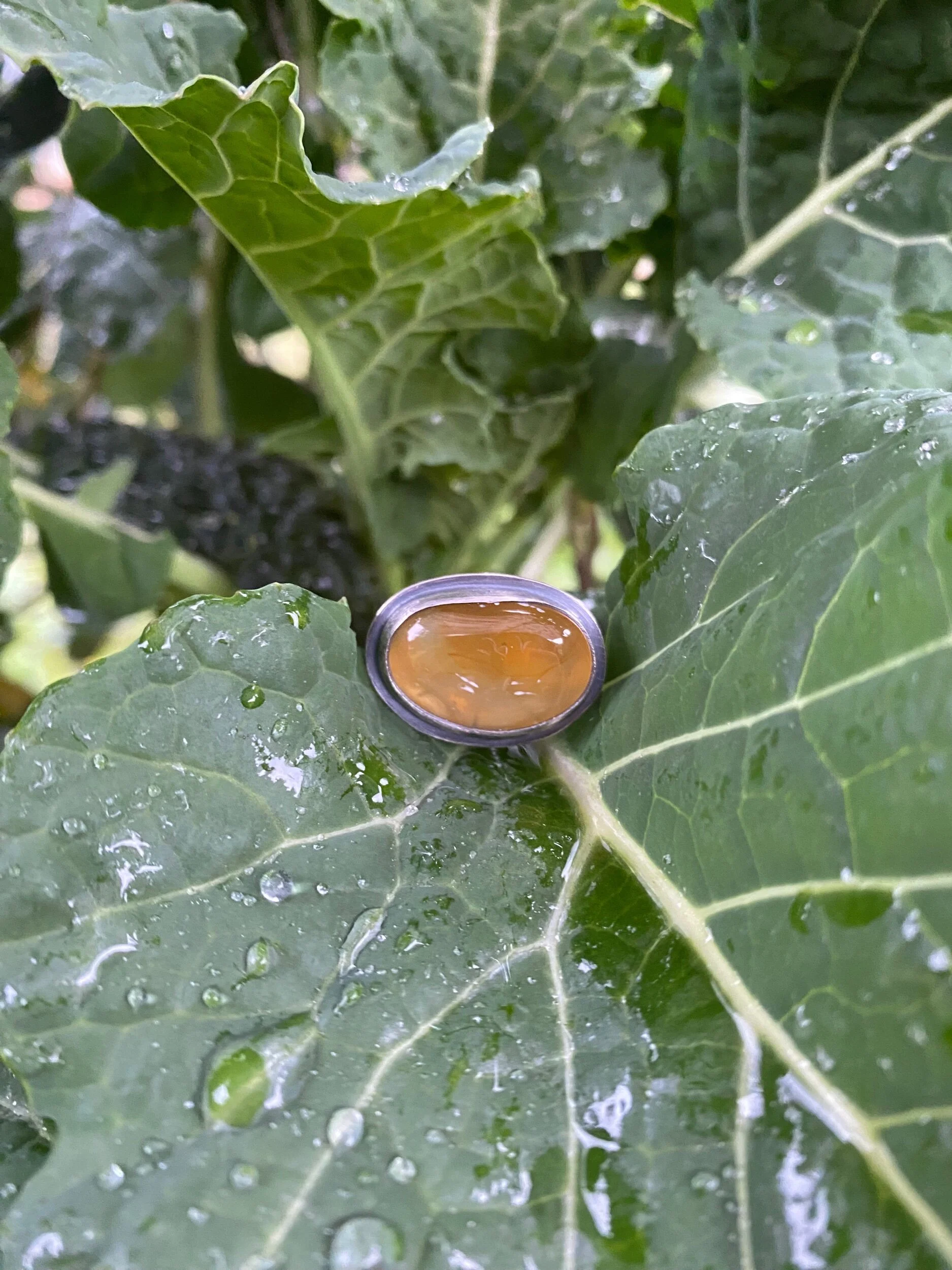 4B414CC5-8516-497A-9061-FBC5F3E9BA79