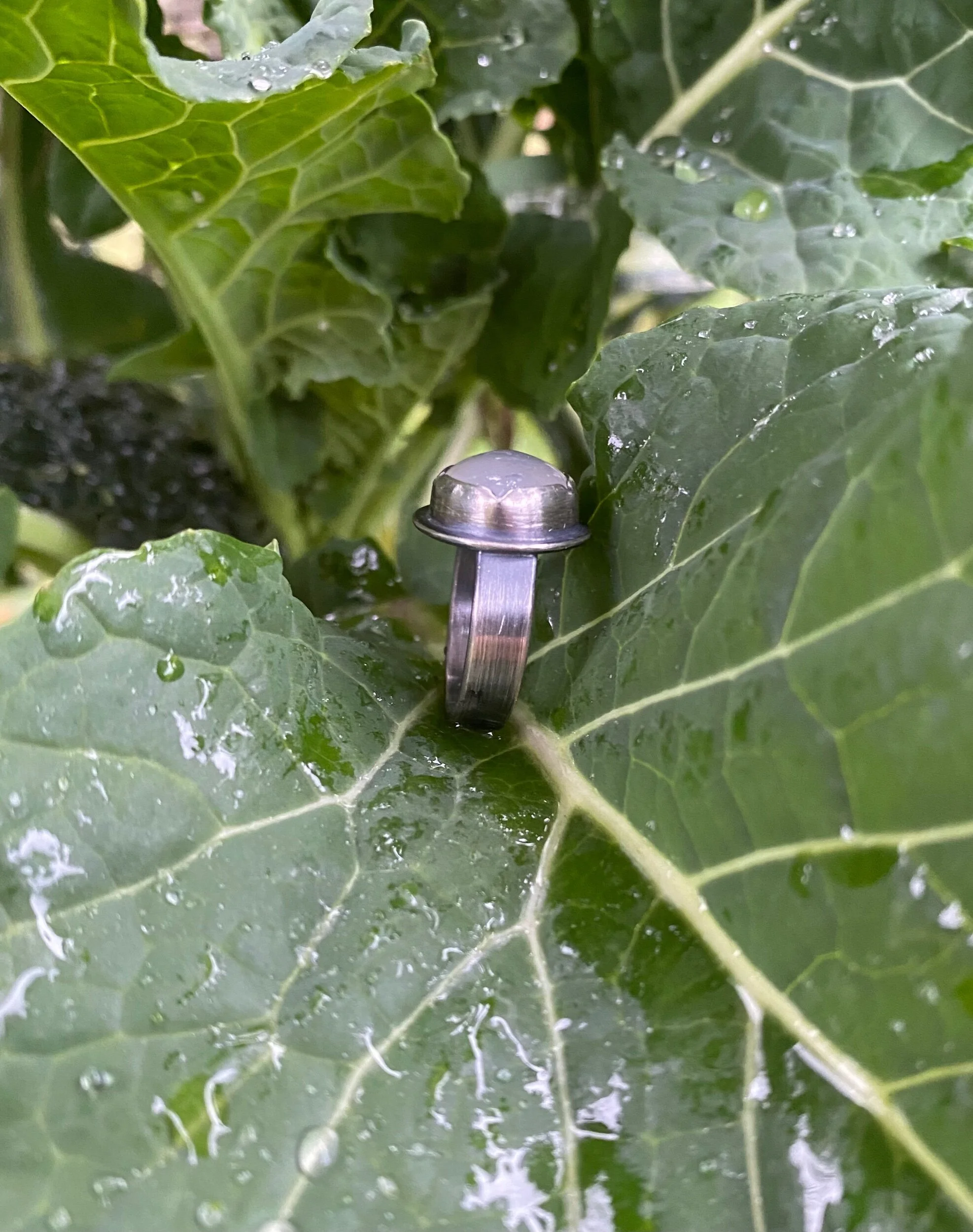 B3ACC086-3BBF-43D2-ABE0-A288DCAB6837