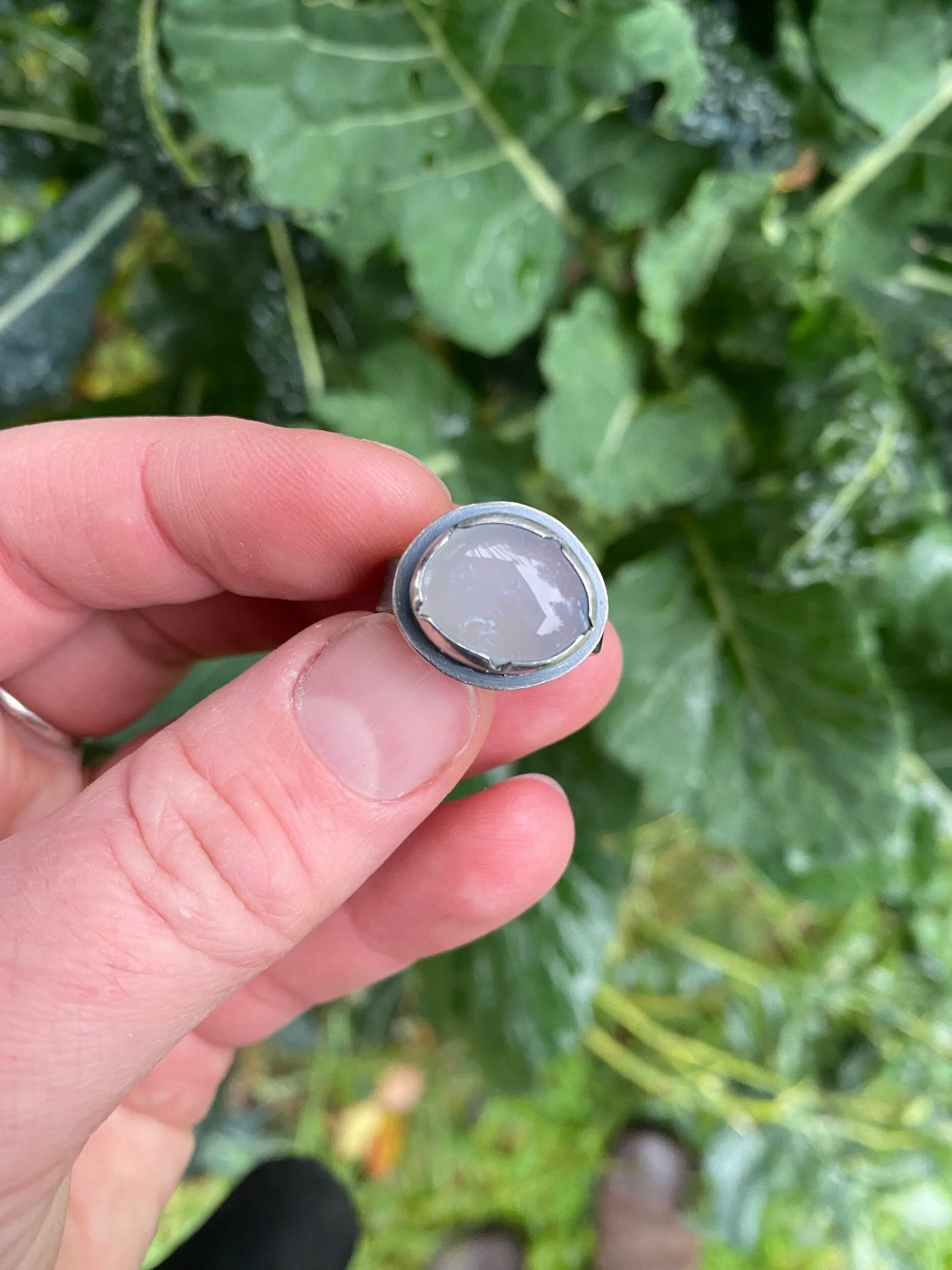 35AEF0CD-A04E-4FB9-8124-85E7399D1043