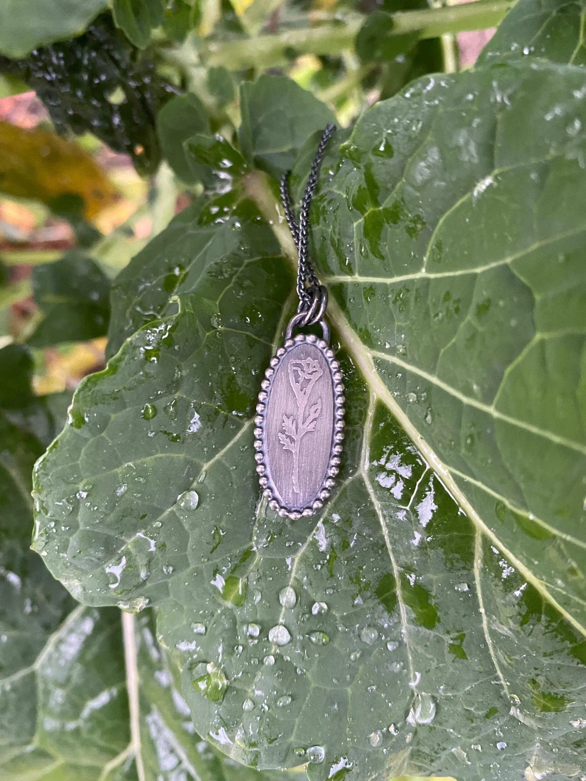 0FCD80DB-2072-497F-9A07-0976175E4870