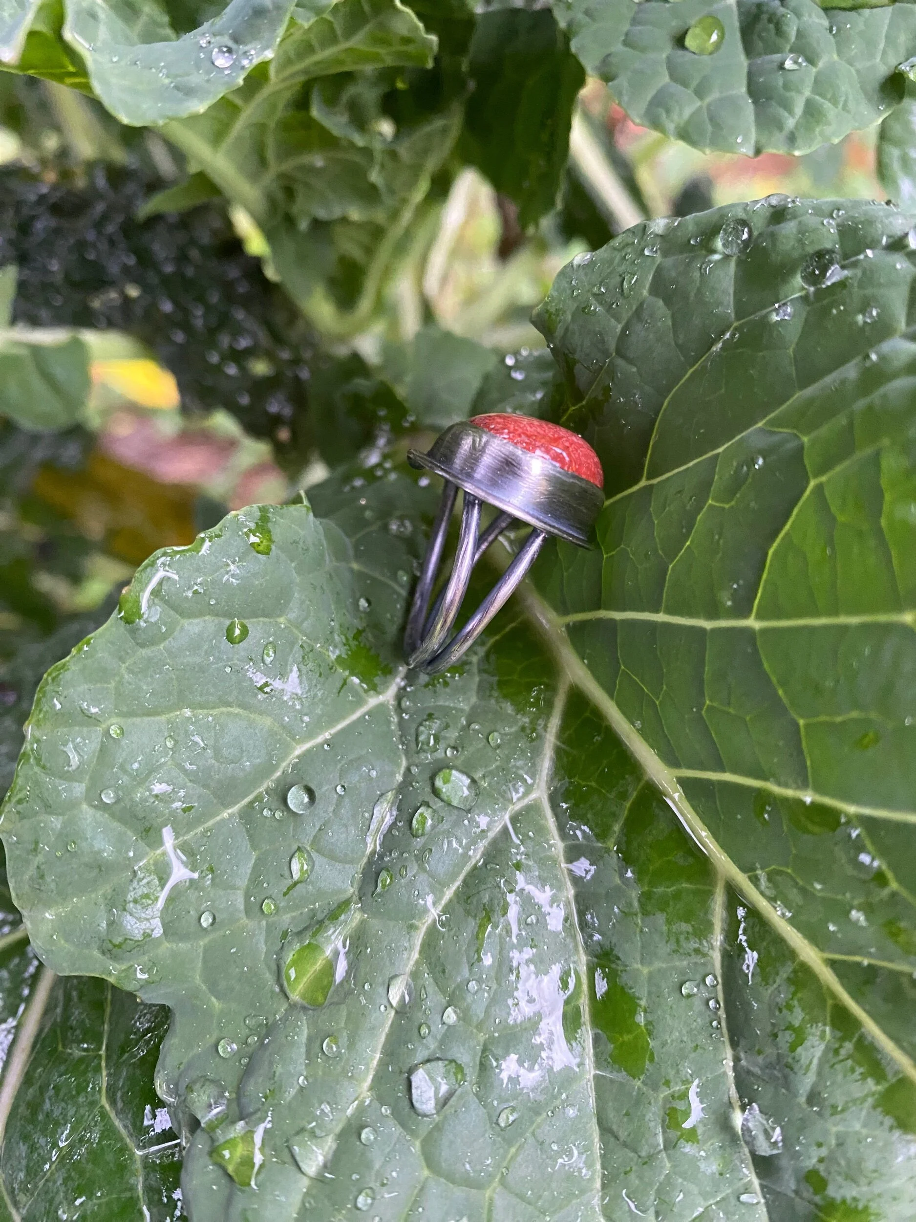 B70DD3D6-F1A2-4955-8476-42401454D166