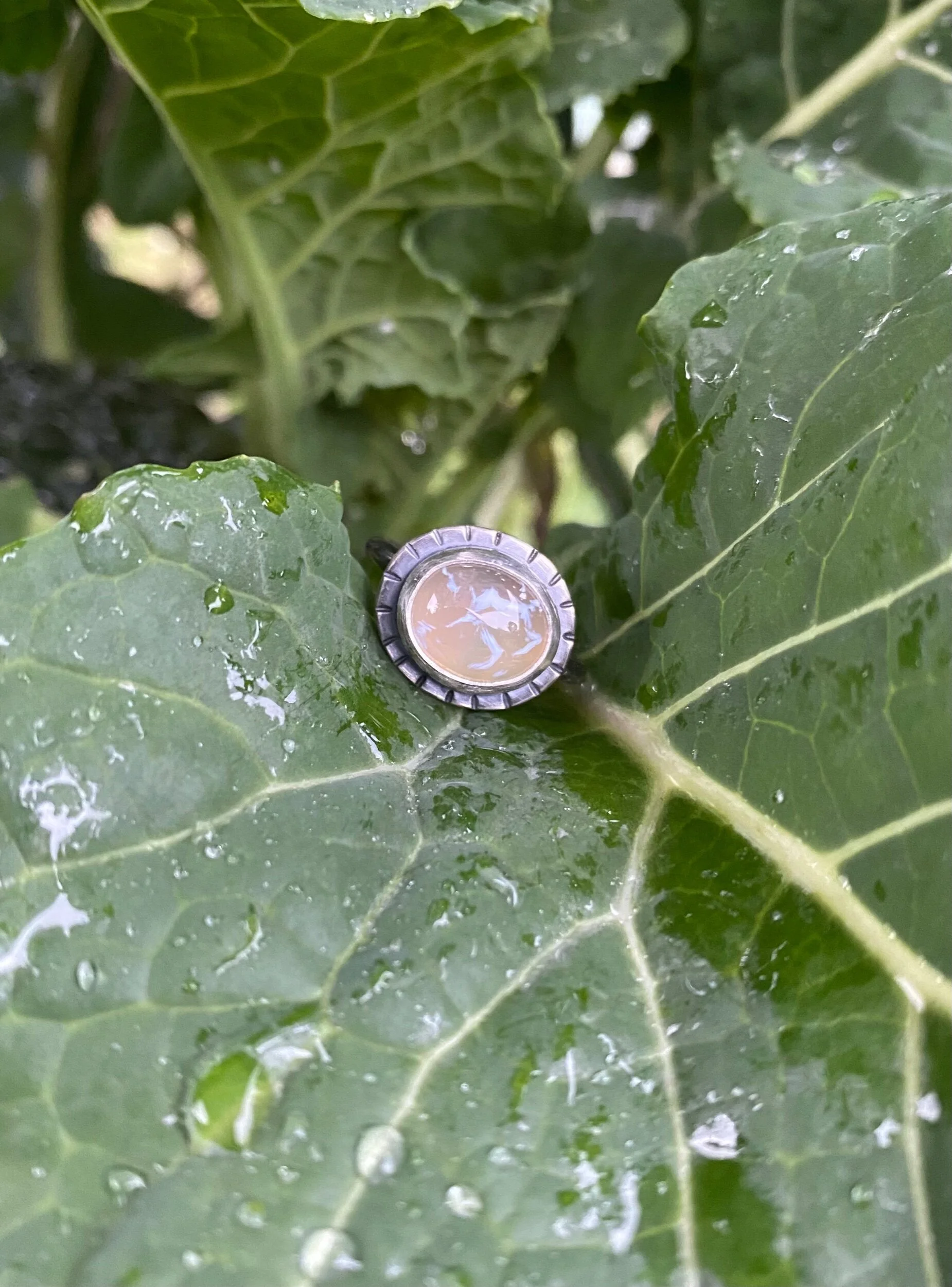 FA32FFC4-472F-4AB2-8E48-6641CB10E640