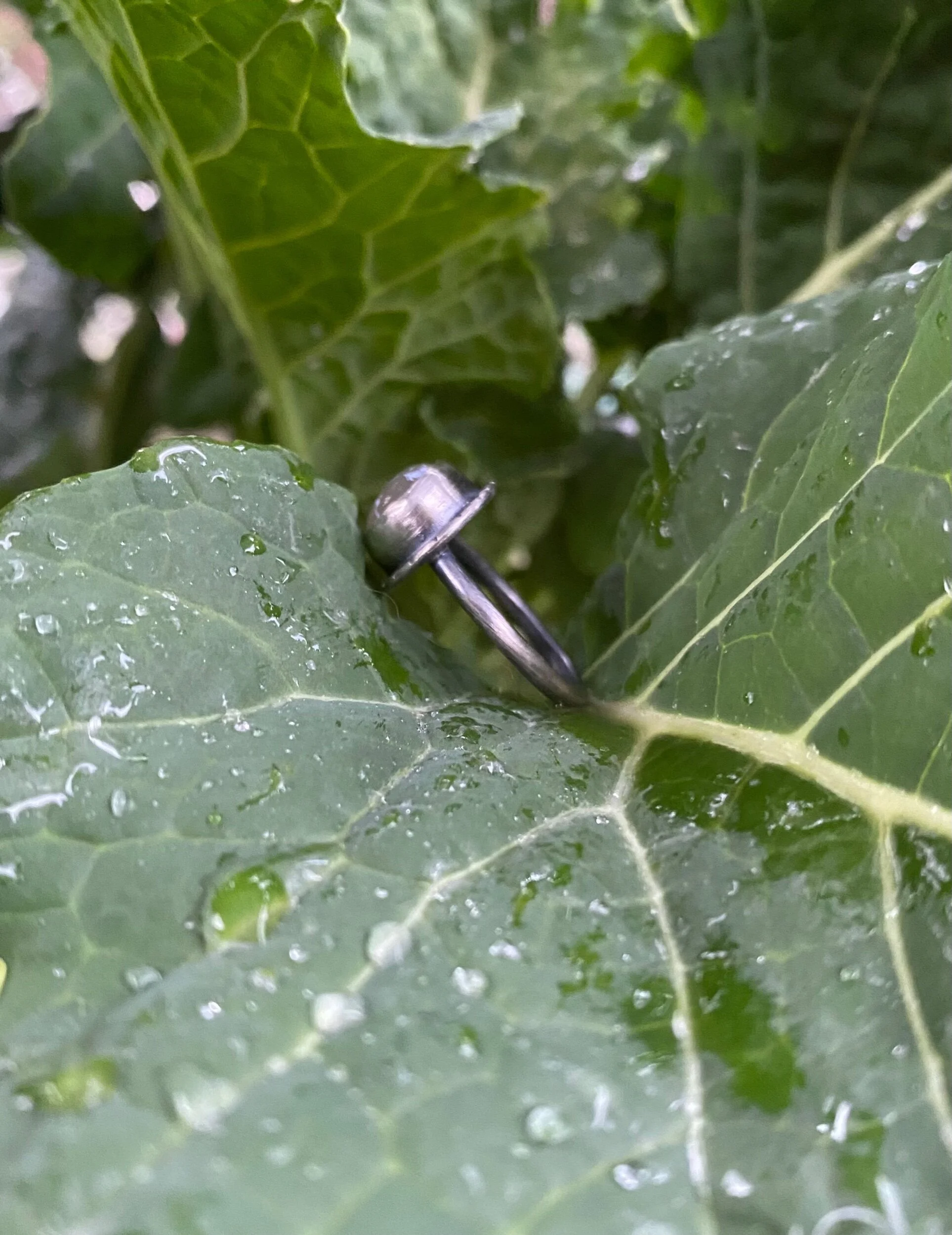 C596C6F3-7C89-49EC-86F6-209977732552