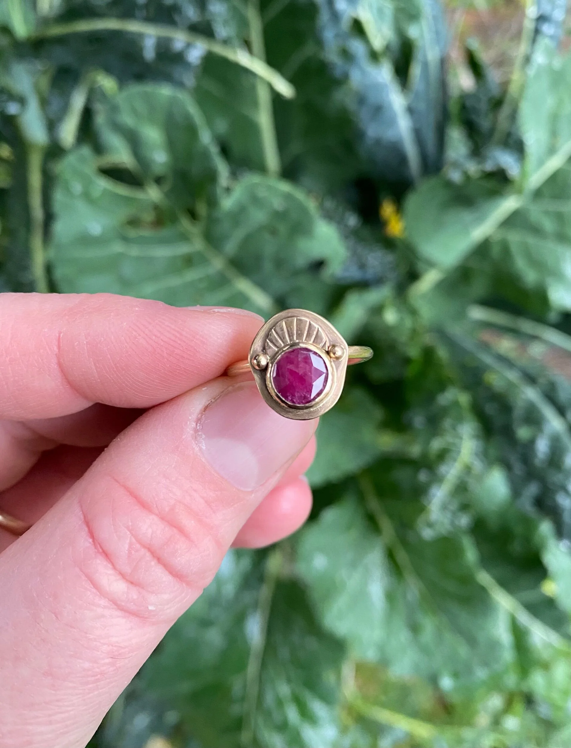 AE53E8EB-FB25-44B2-92B5-EE4B6862EAF5