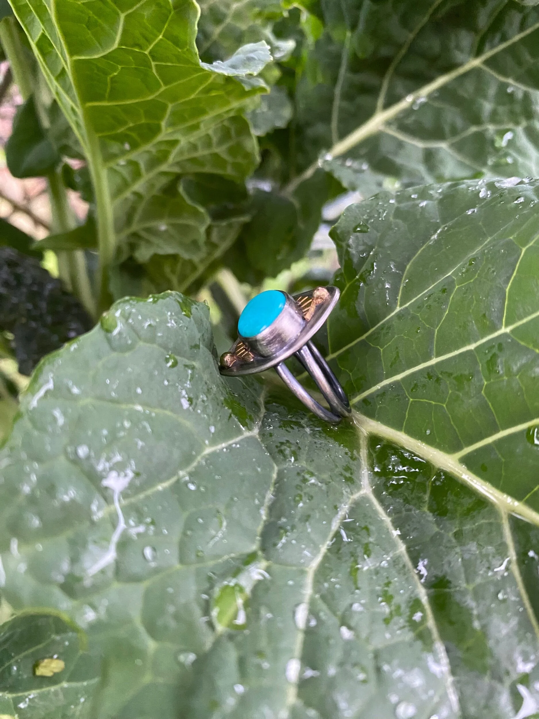 E9005884-CA28-4391-99DC-9359746491D7