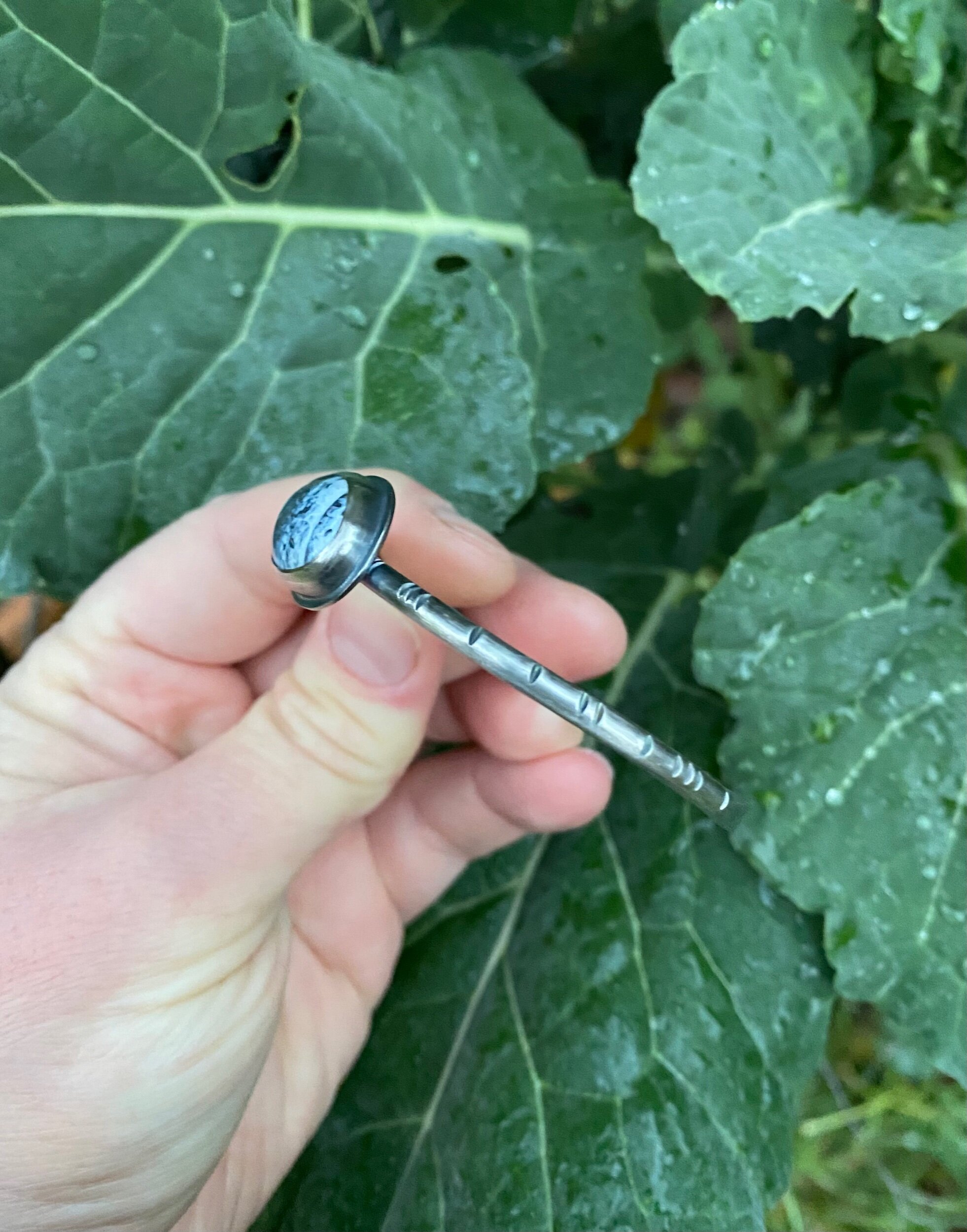 2097421C-F111-4CCF-B3CF-A4F63FC3723D