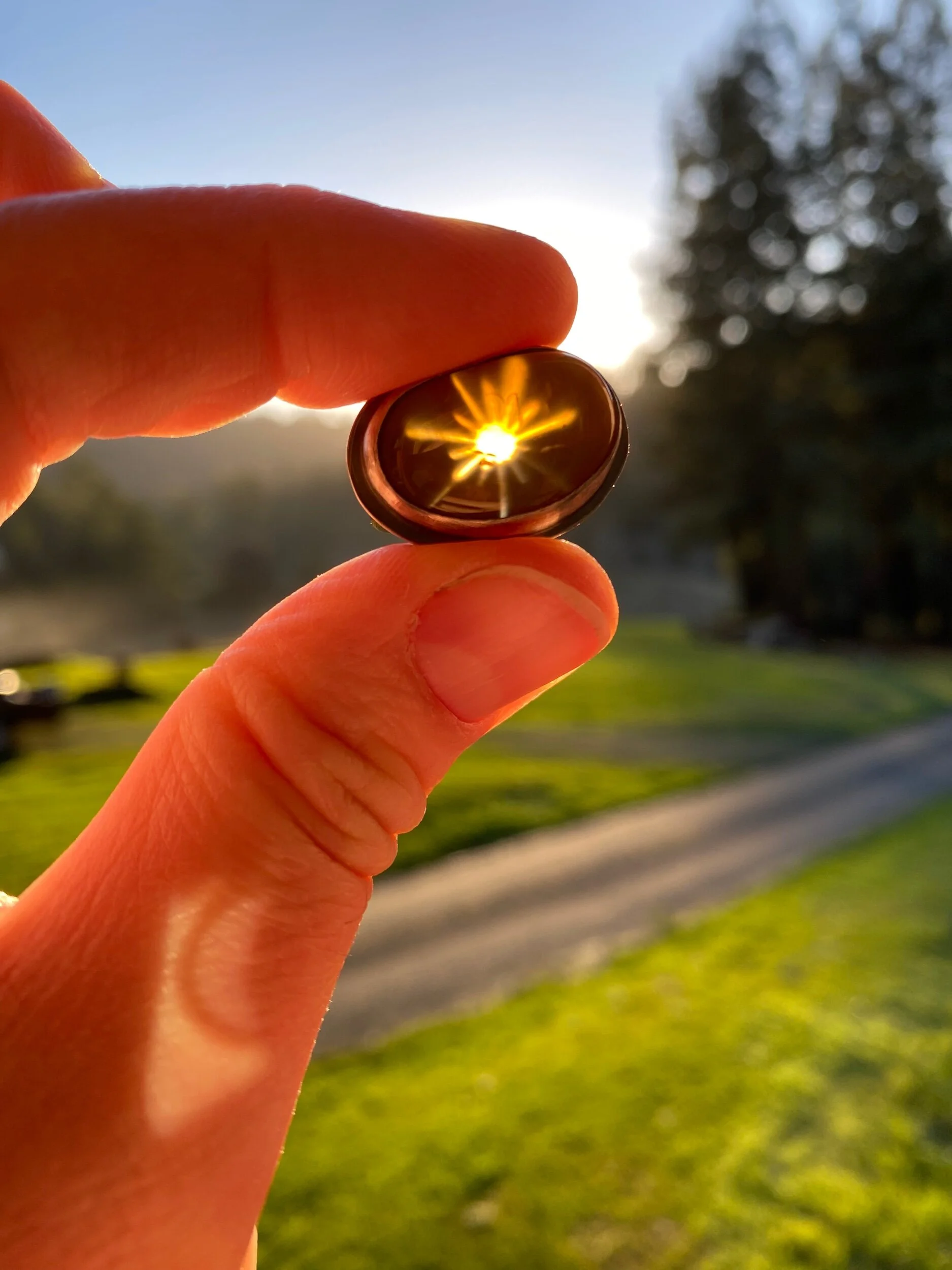 D47F93E5-DFC4-4CB3-B2D1-3465AFC9E8F3