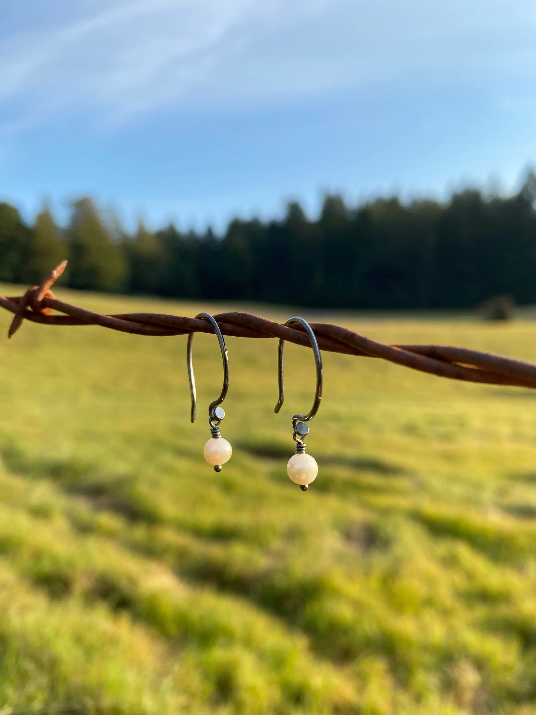 B70A5B6E-9B85-4A02-8309-D937B2FEE6EB