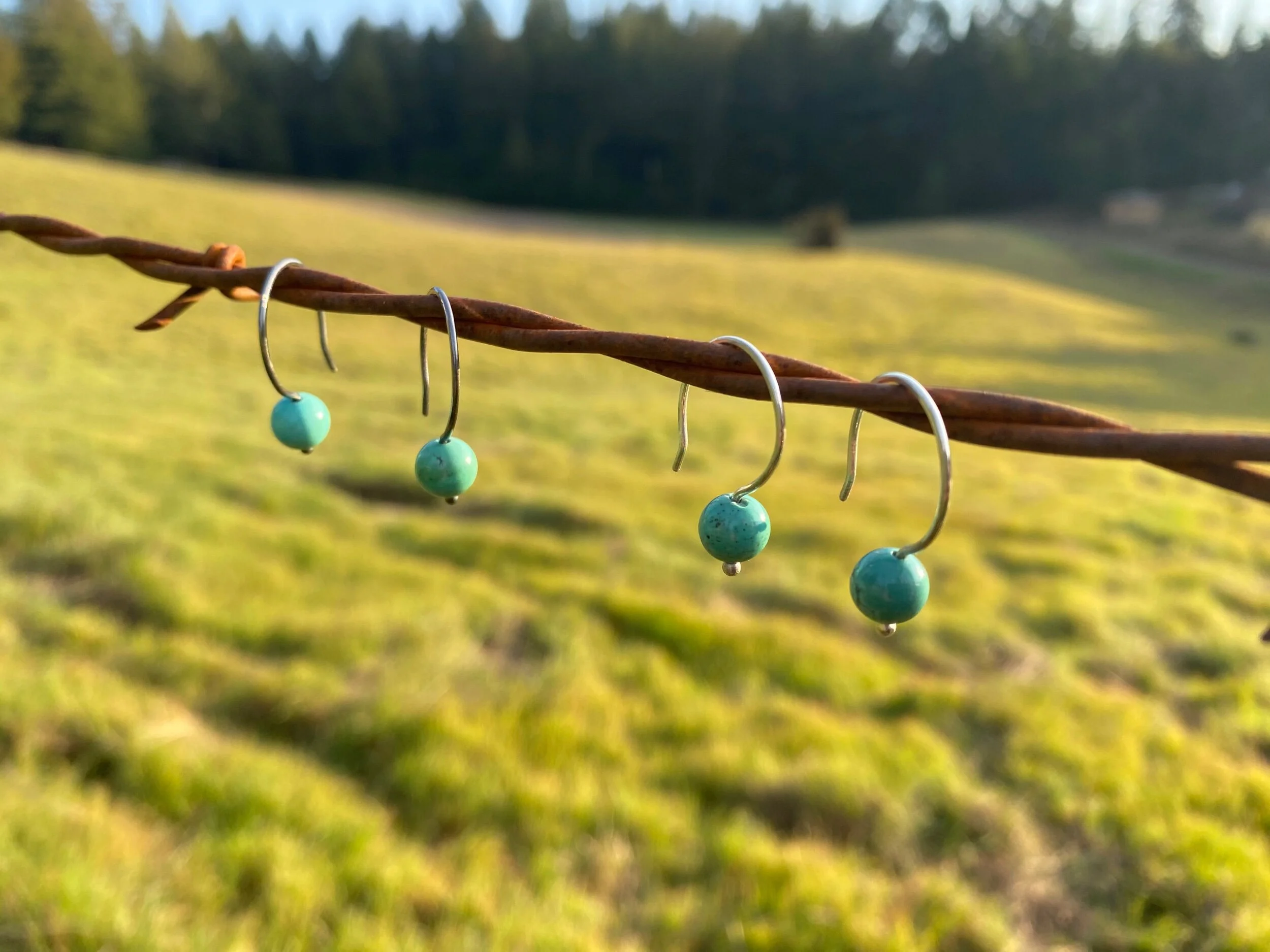 6AEB5BA5-B363-4C7B-A061-16D2242EA5E8