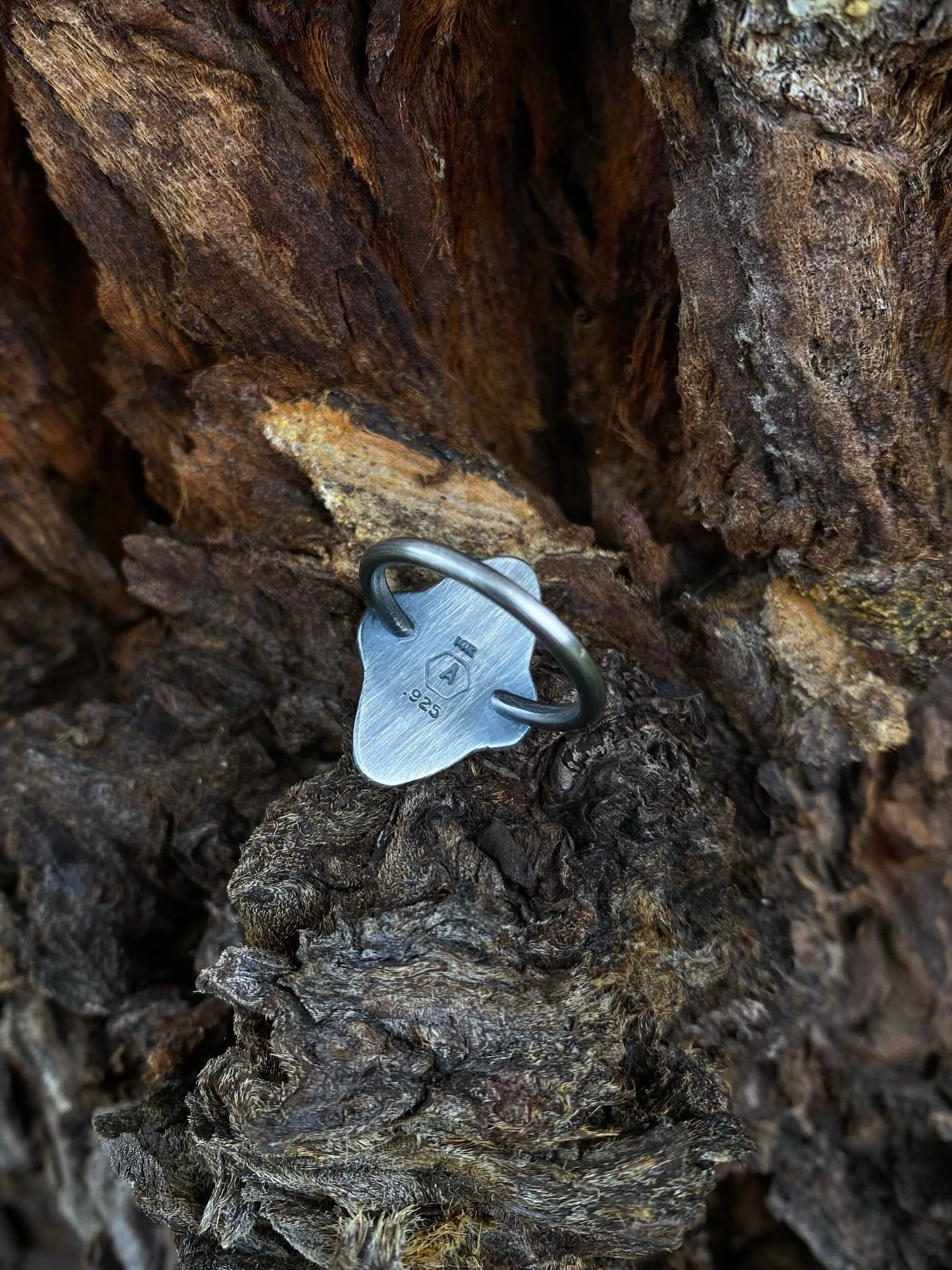 77DDC59D-1E4E-420A-95B9-9CD9AA7F382A