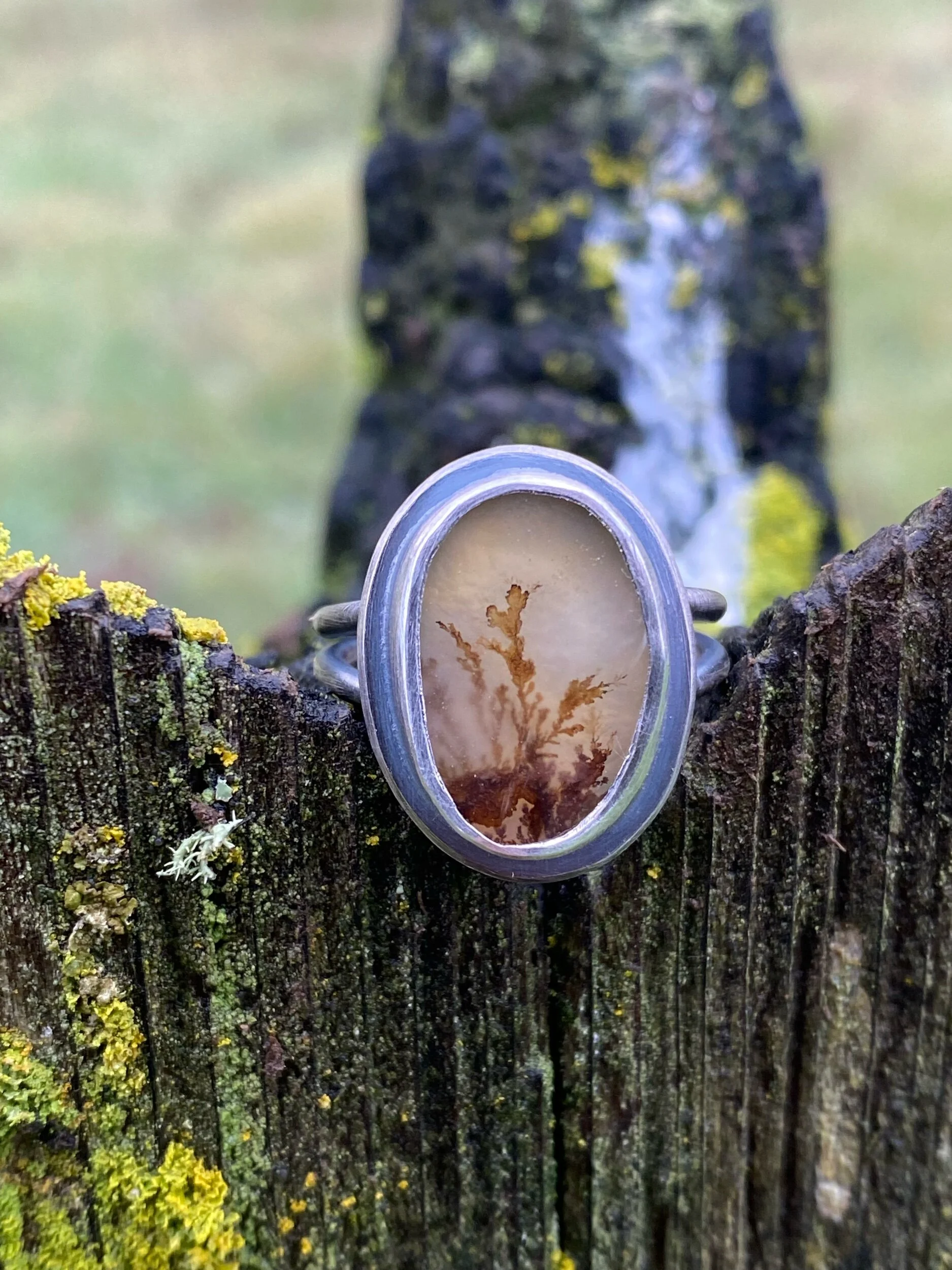 67930EF2-265F-43B1-A2A0-B17657916439