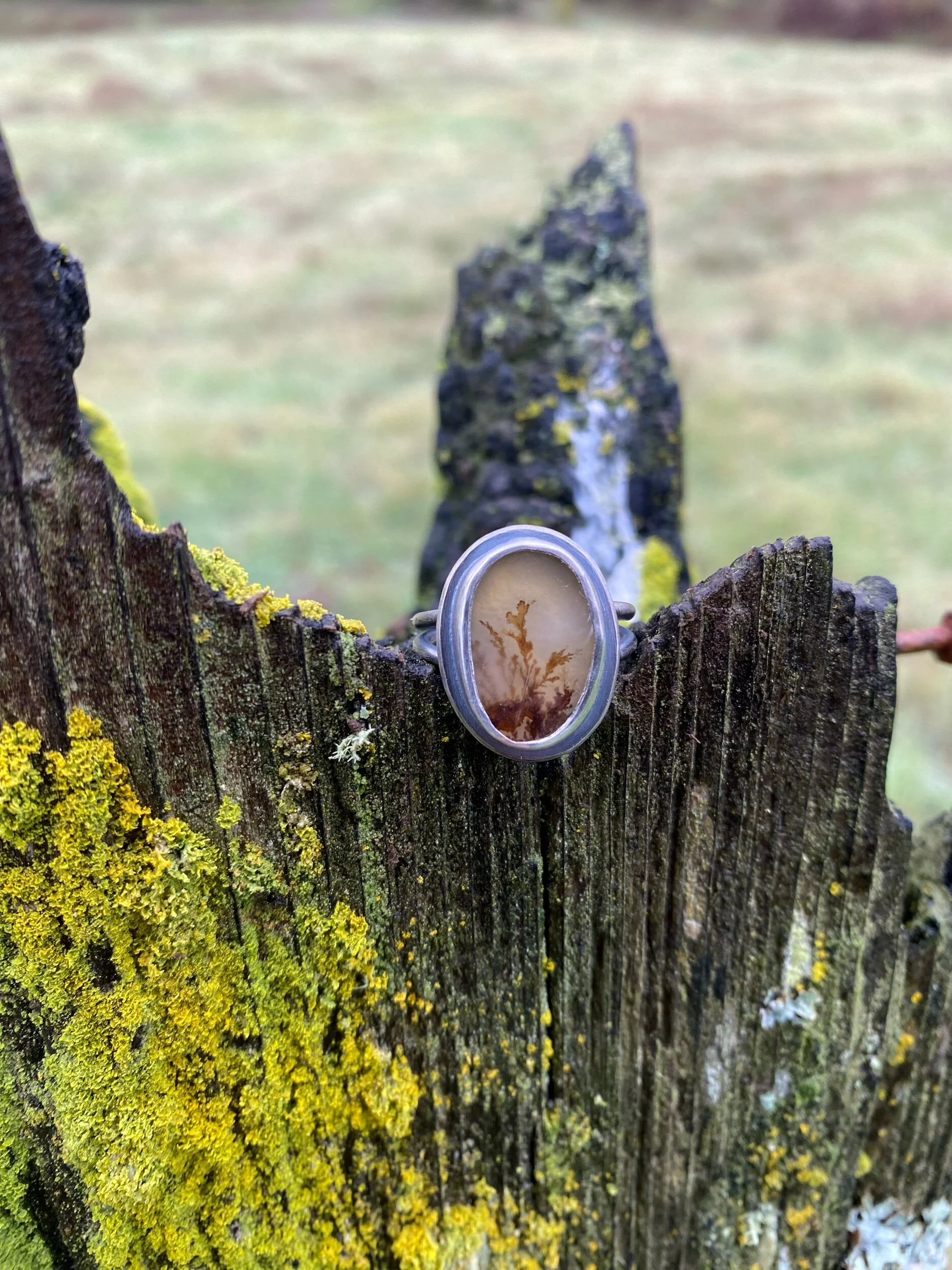 8930D8F8-27FC-4F98-8359-DECD167AACBE