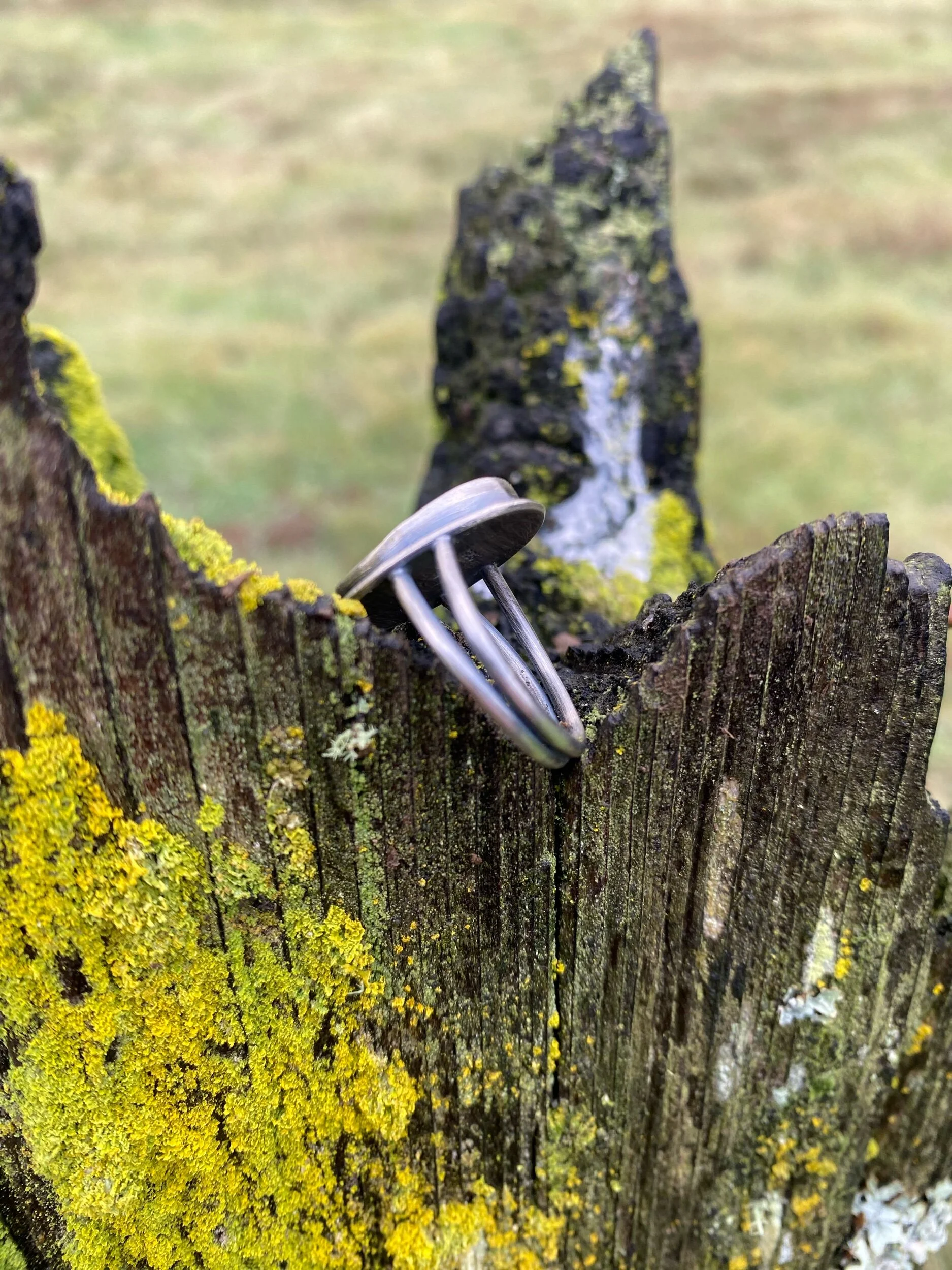 AB33DA92-1E47-43A3-842B-F33A471ACA55