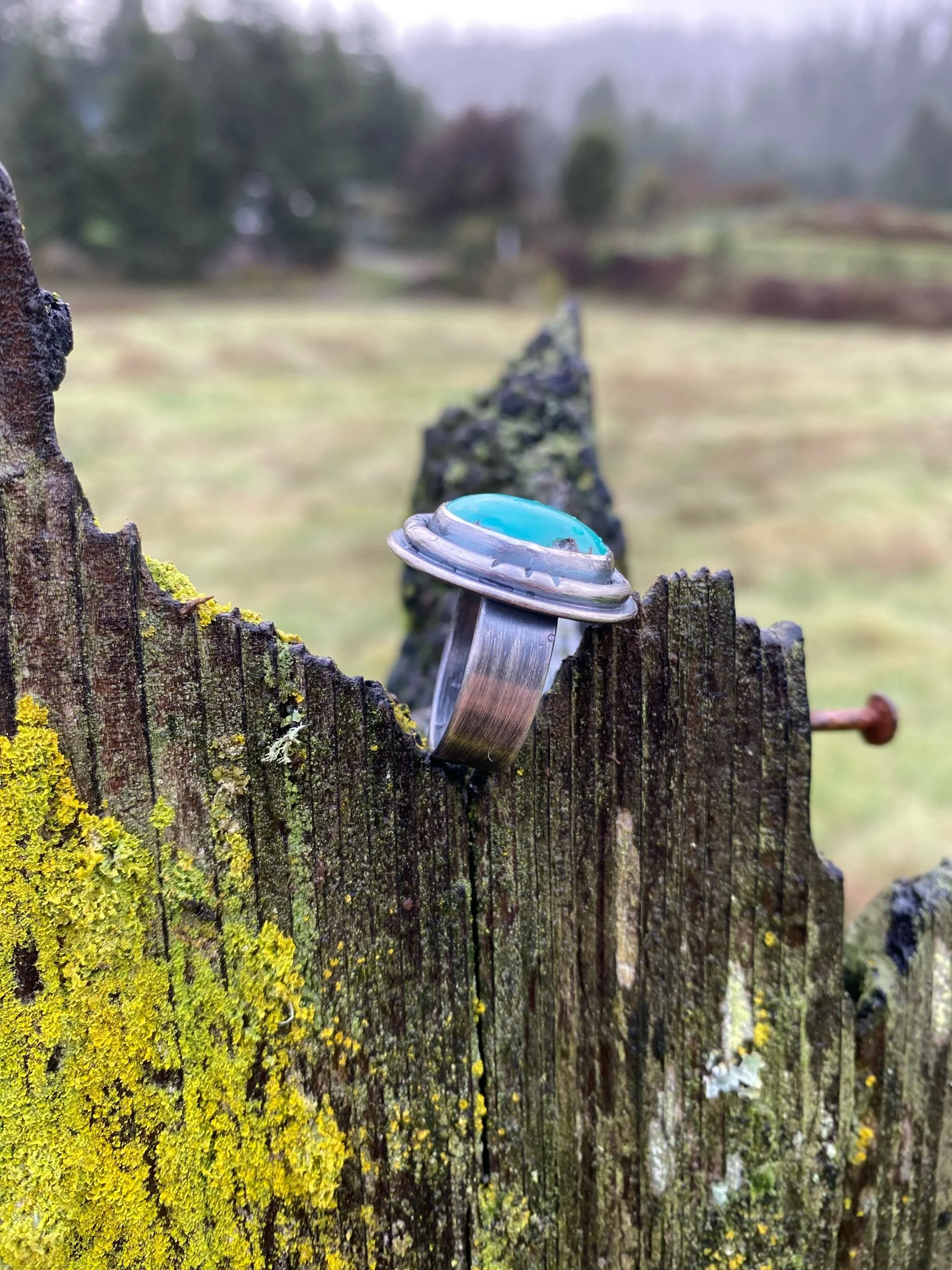 23E94CC9-5B24-447B-9D1B-550F2BBC912B