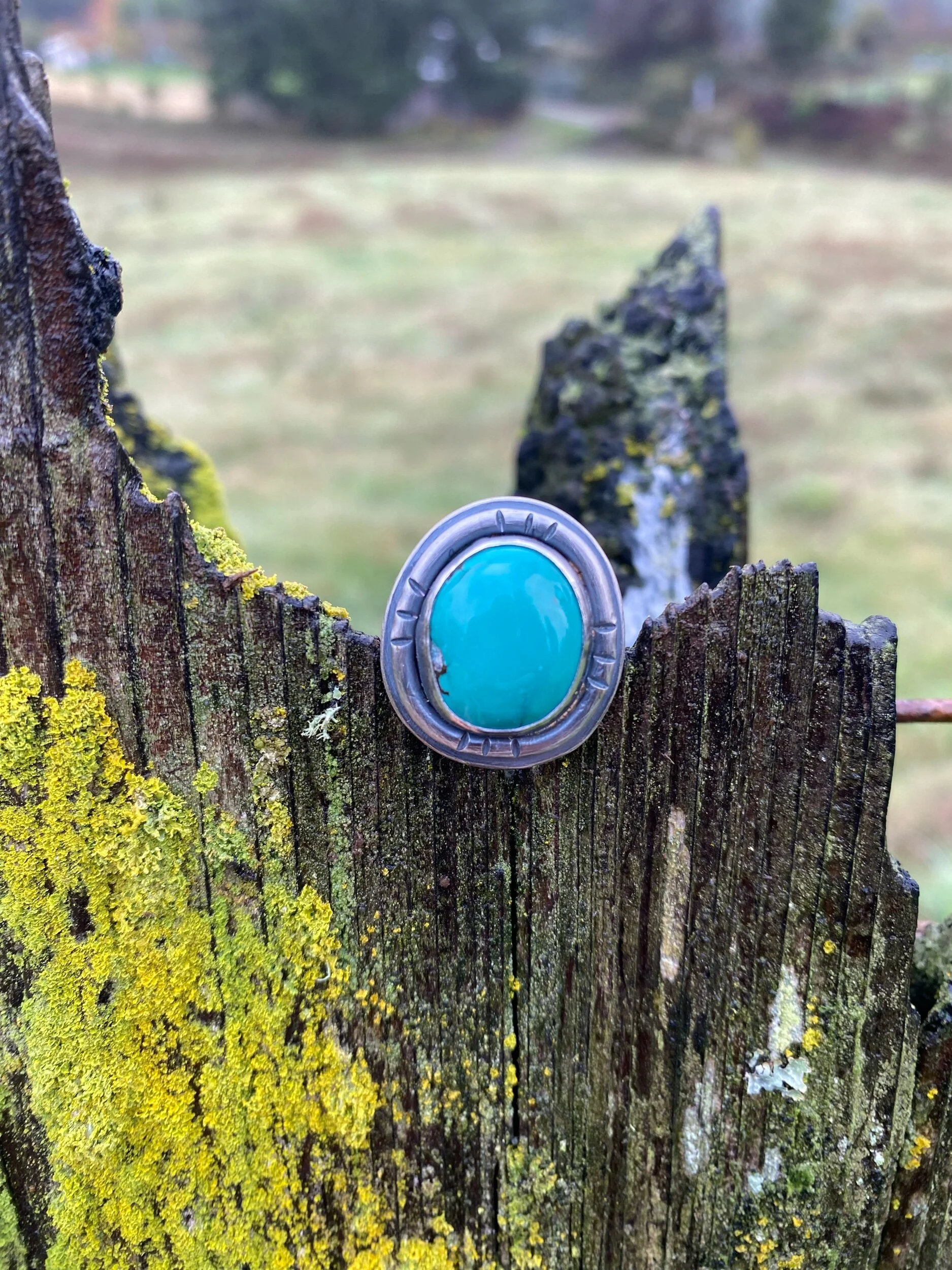 FEE80C8C-41B9-4D09-A3EE-AFDEED904D1B