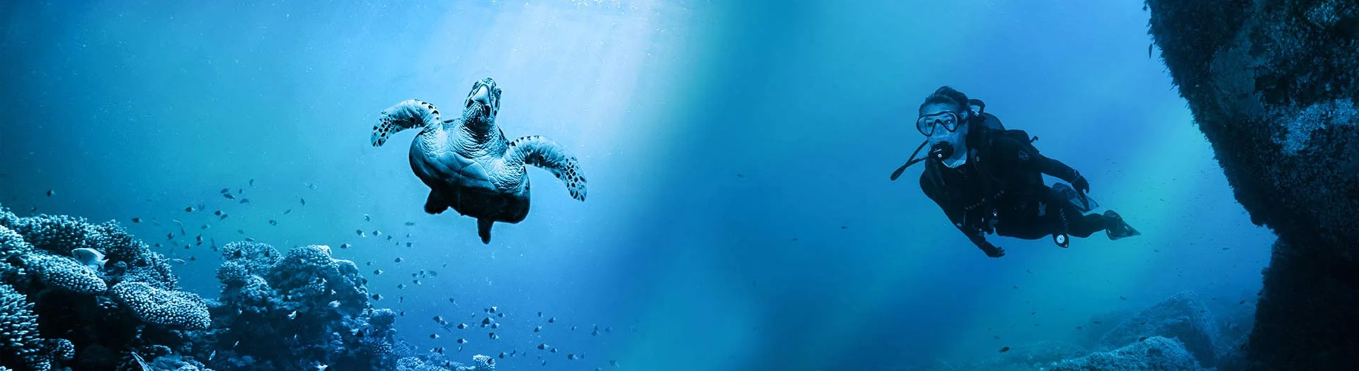 Dive Classes — Southern Dive Center