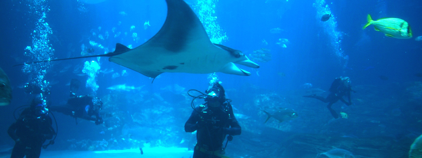 Georgia Aquarium April 2017