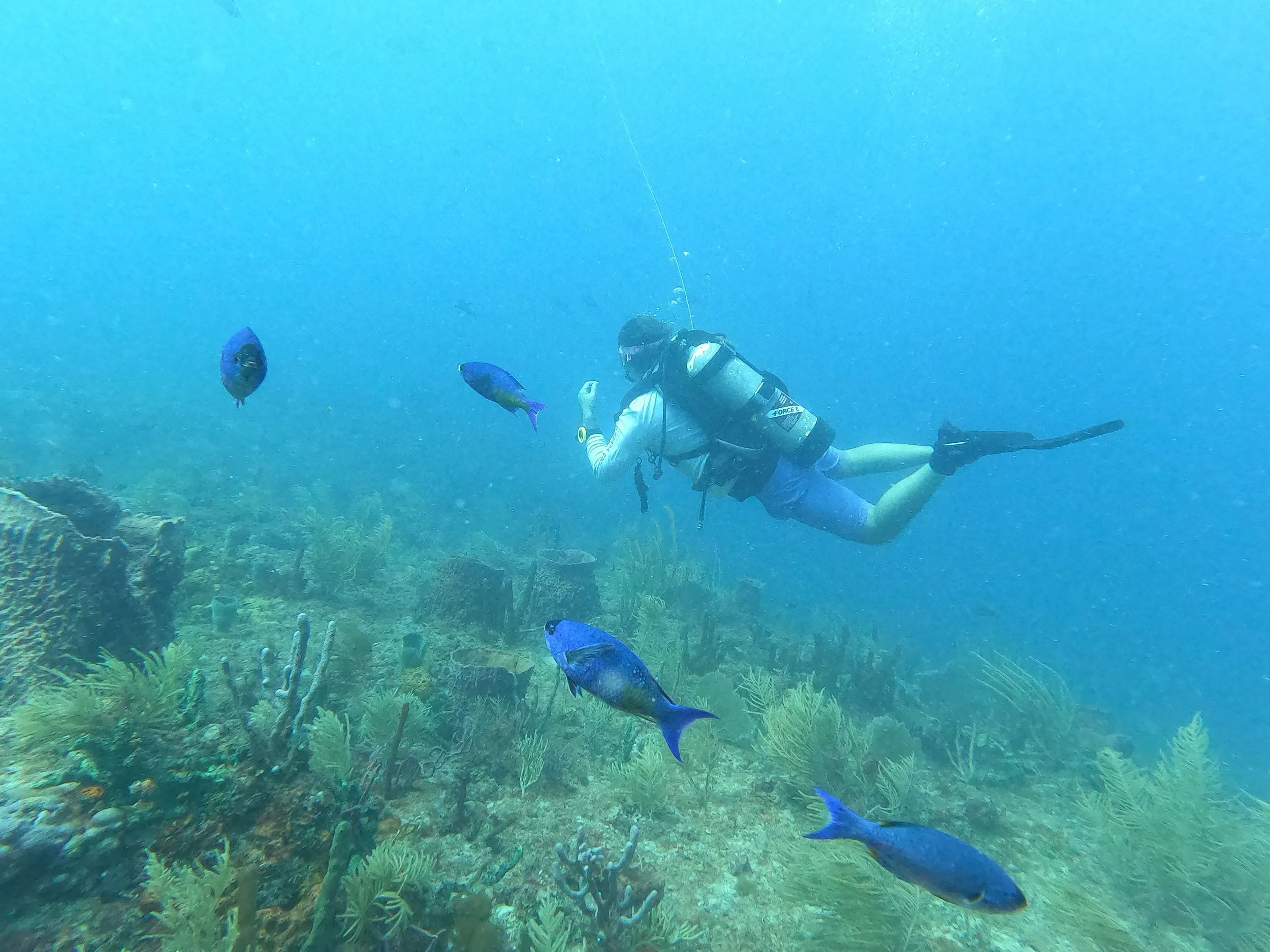 About us — Southern Dive Center
