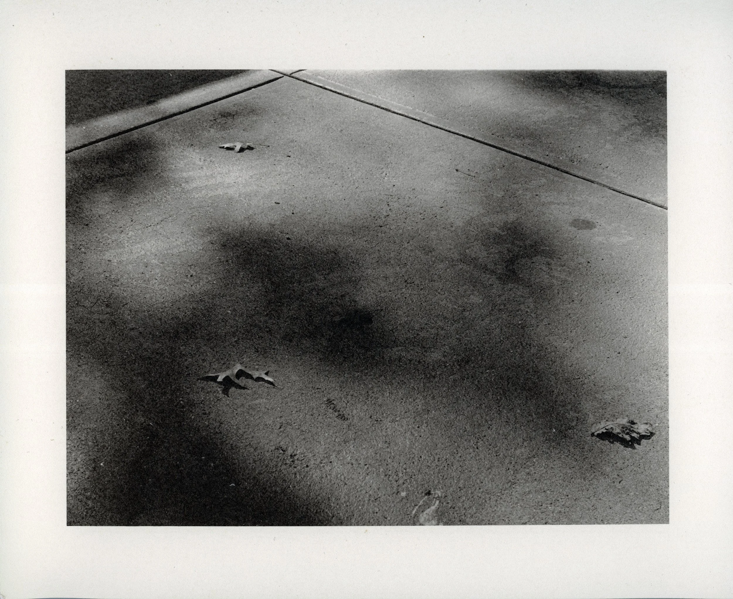 Silver gelatin print on fiber paper, 8x10", 2026