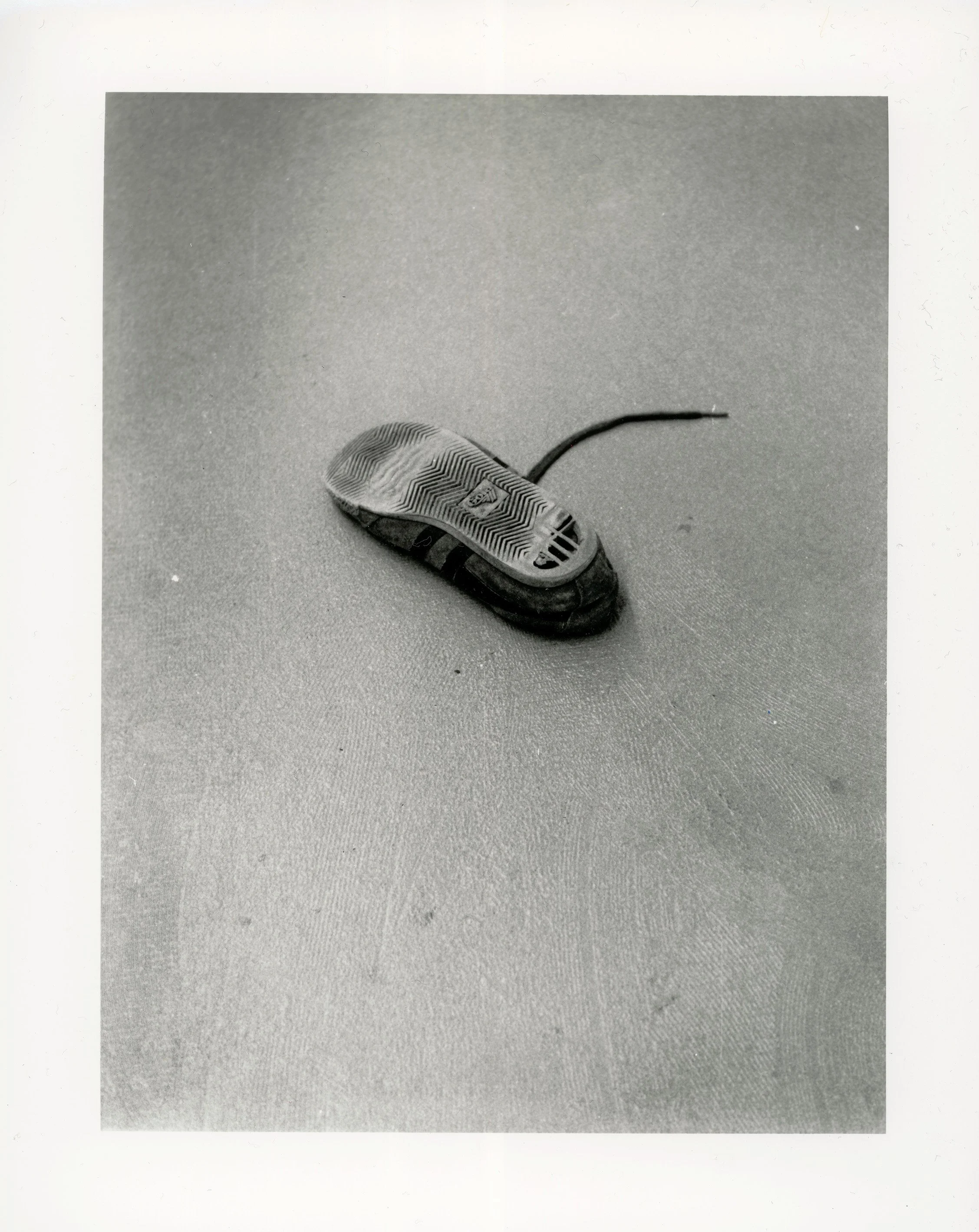 Silver gelatin print on fiber paper, 8x10", 2026