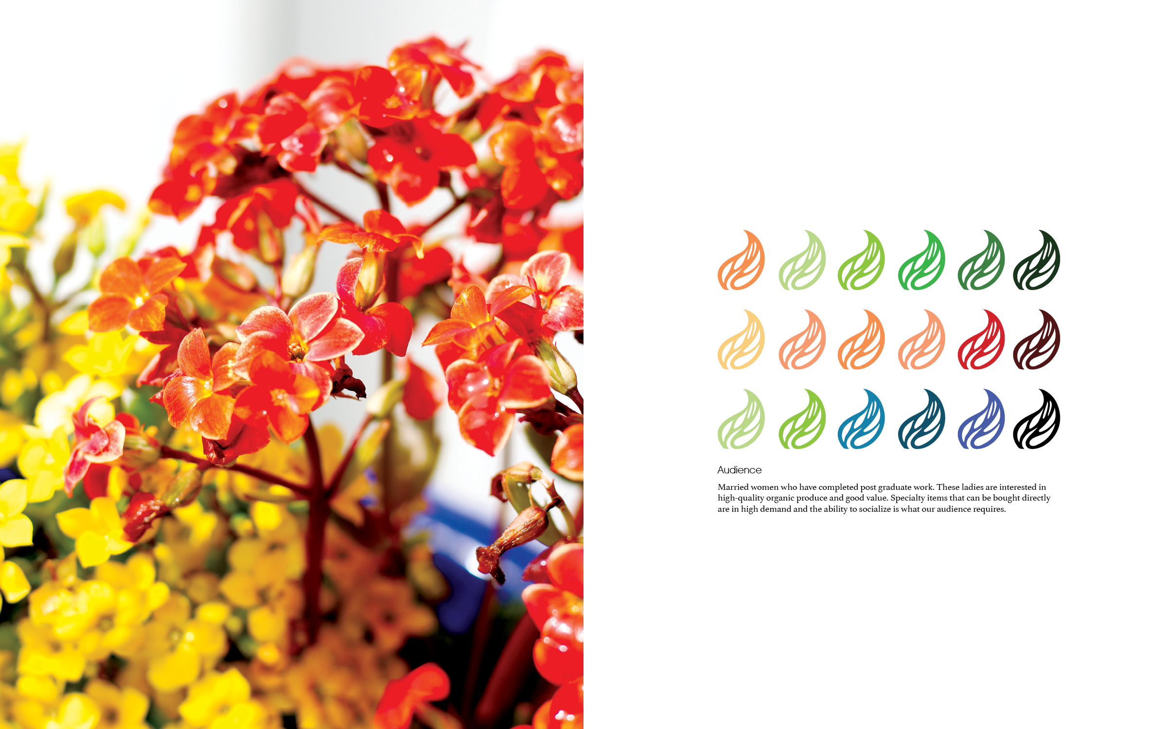 Color System