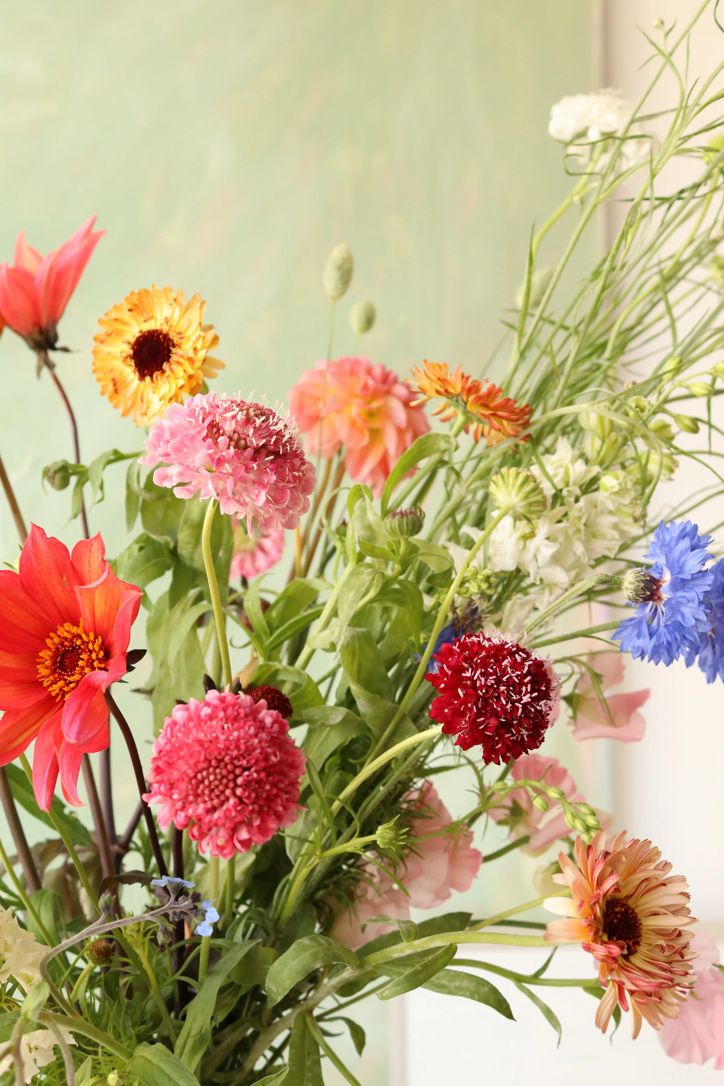 Design by Nature Order Flowers North London Florist London