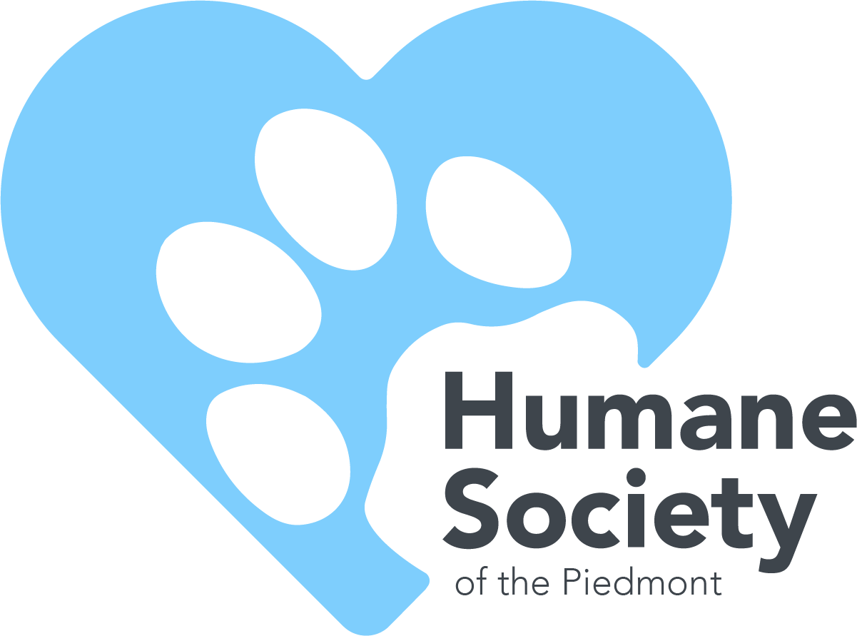 2018_HS_logo_lightblue.png