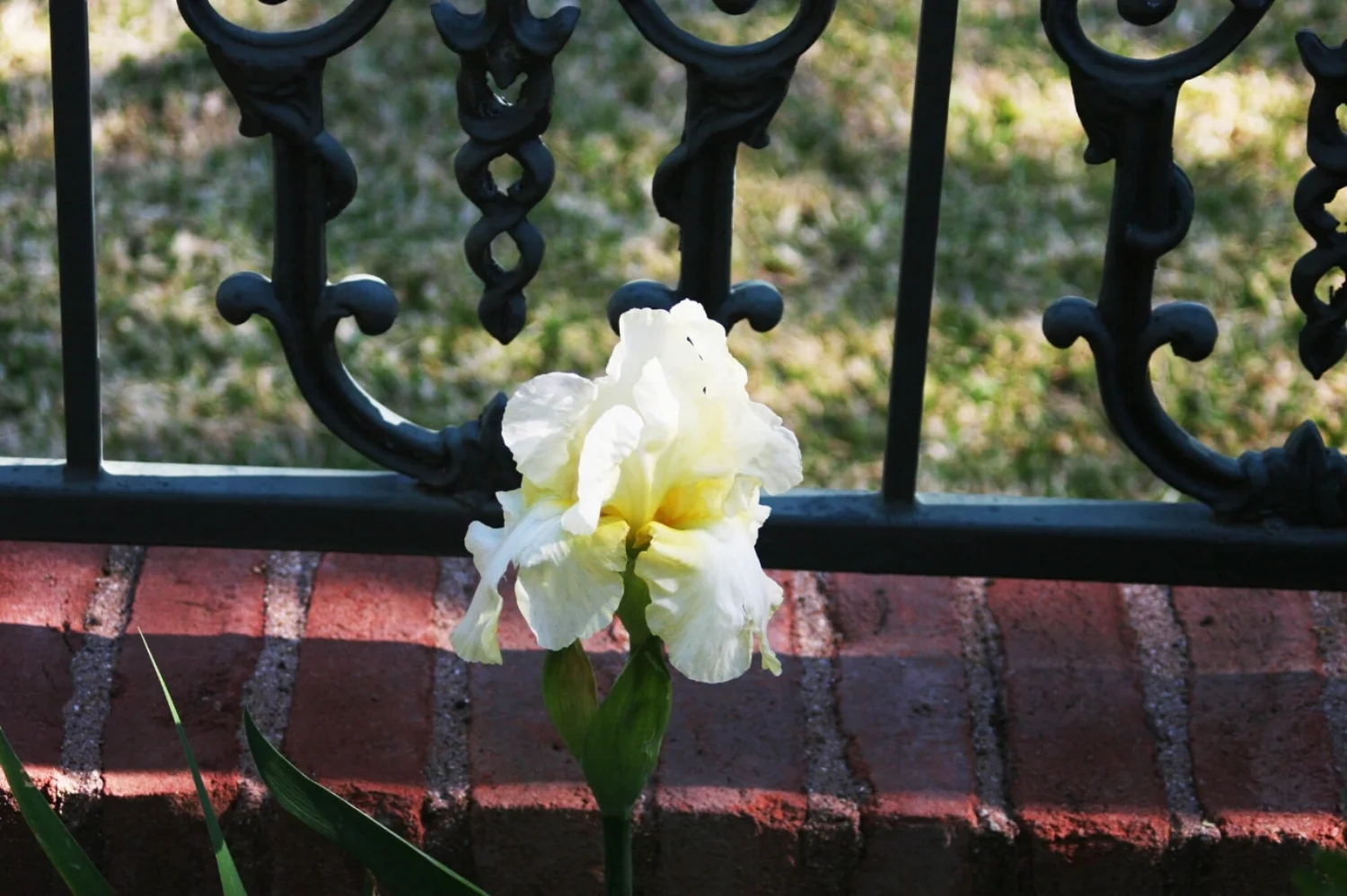 Image 14.jpg