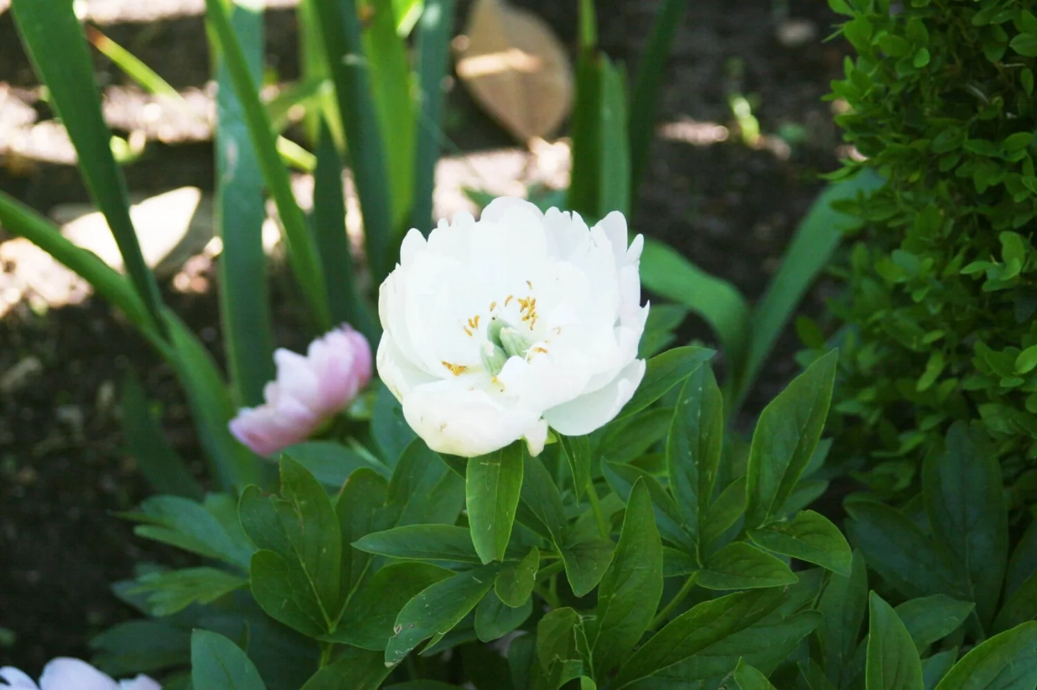 Image 13.jpg