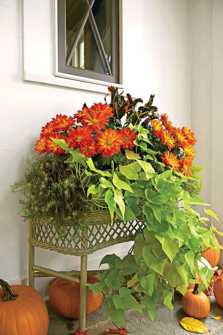 Fall Planter_11.jpg