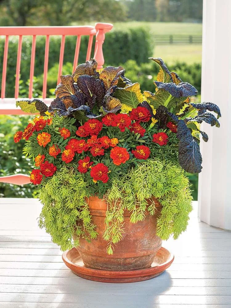 Fall Planter_12.jpg