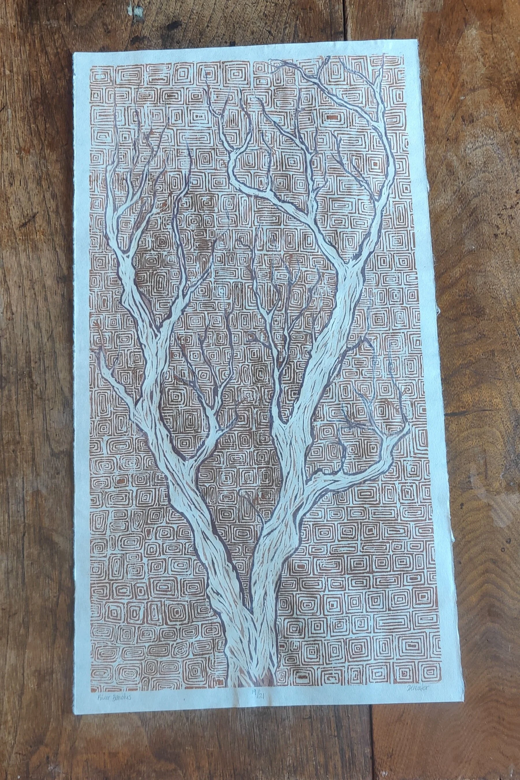 RiverBranches.jpg