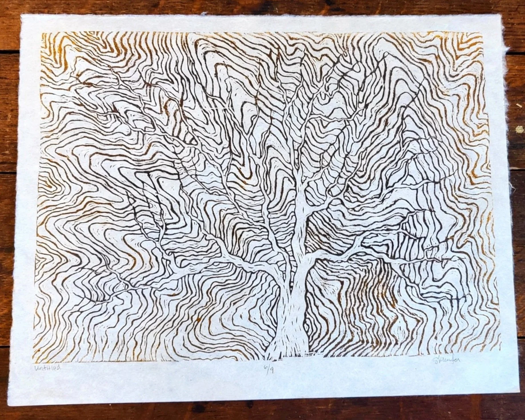 Roots.Untitled.jpg