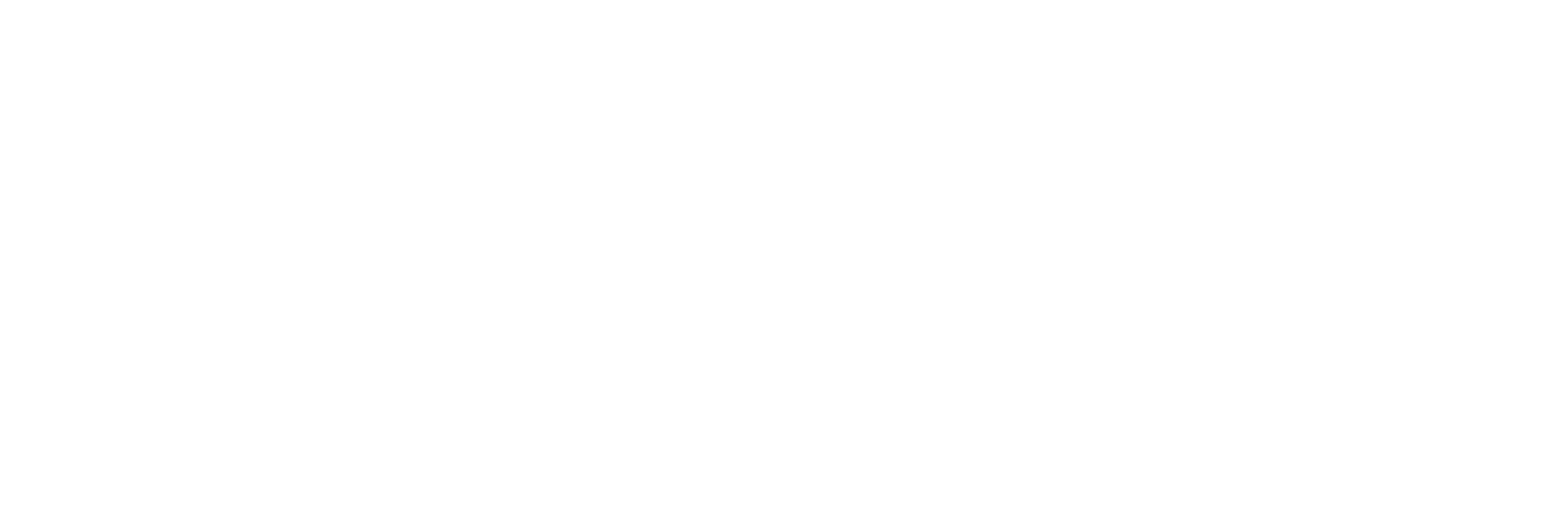 Welcome Party Logo WHITE.png