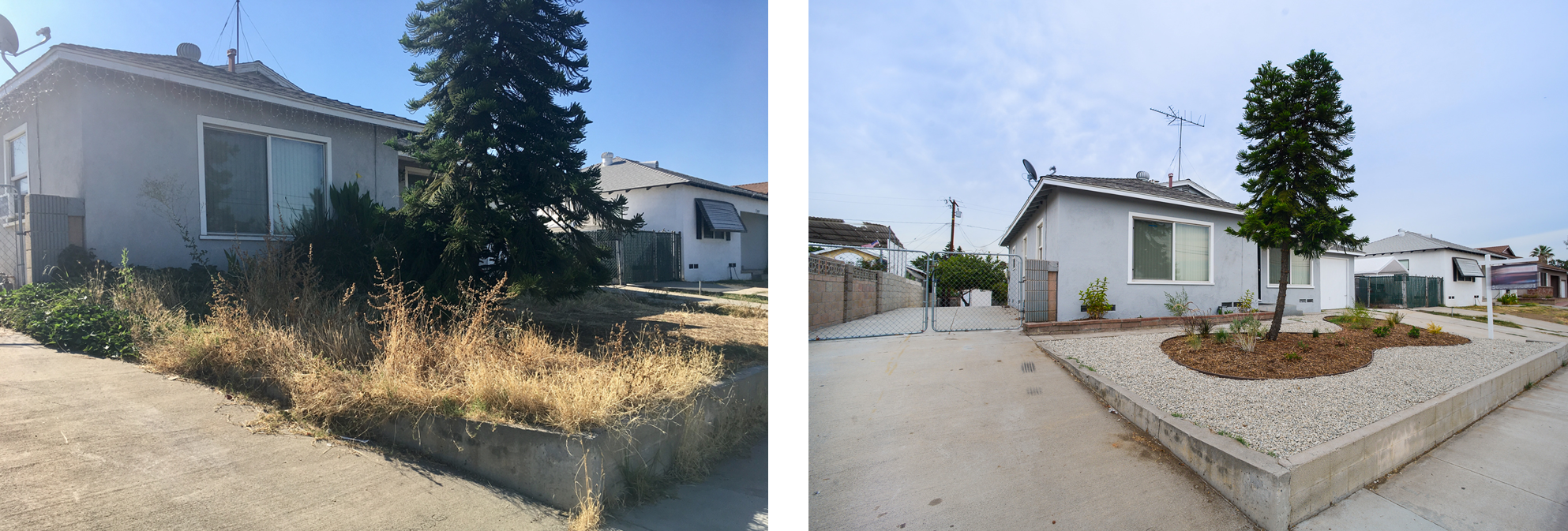 Carmenita Before and After 5.png