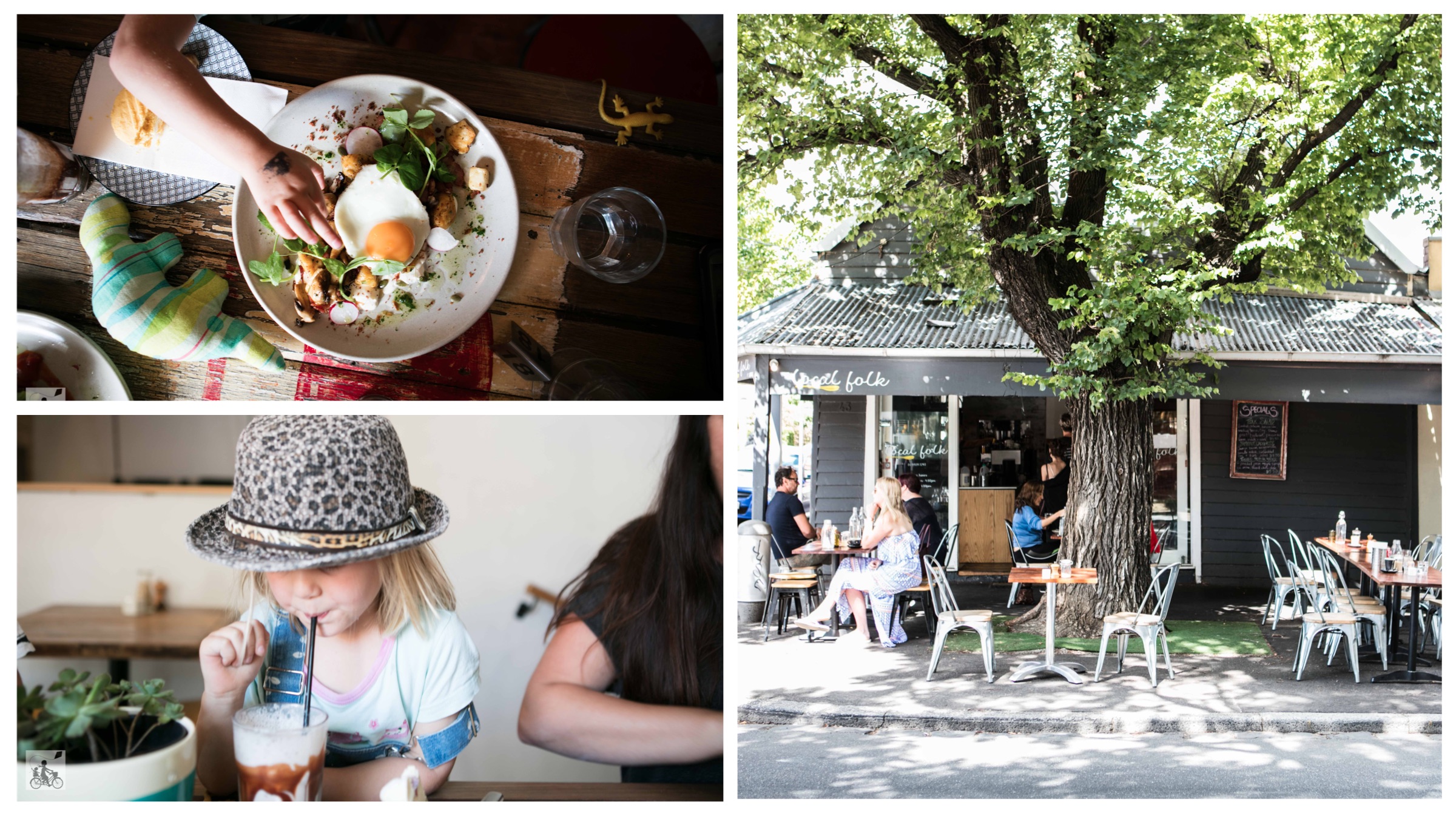 local folk, kensington