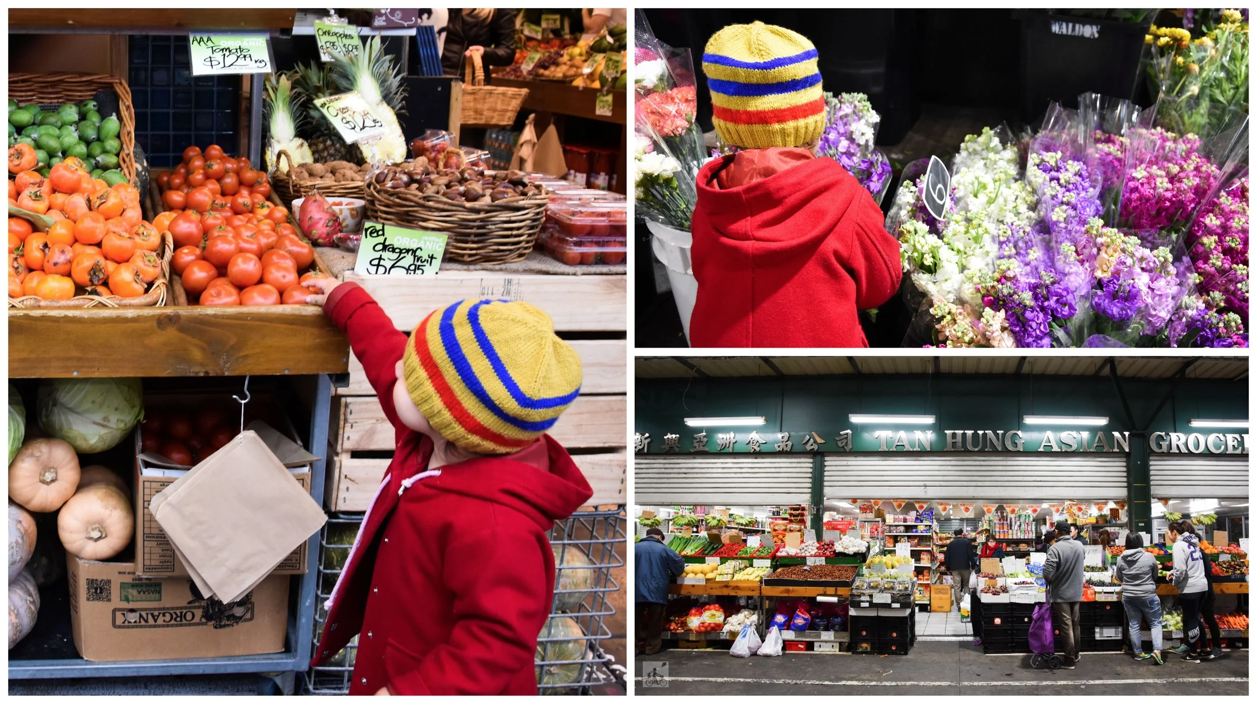 preston market, preston