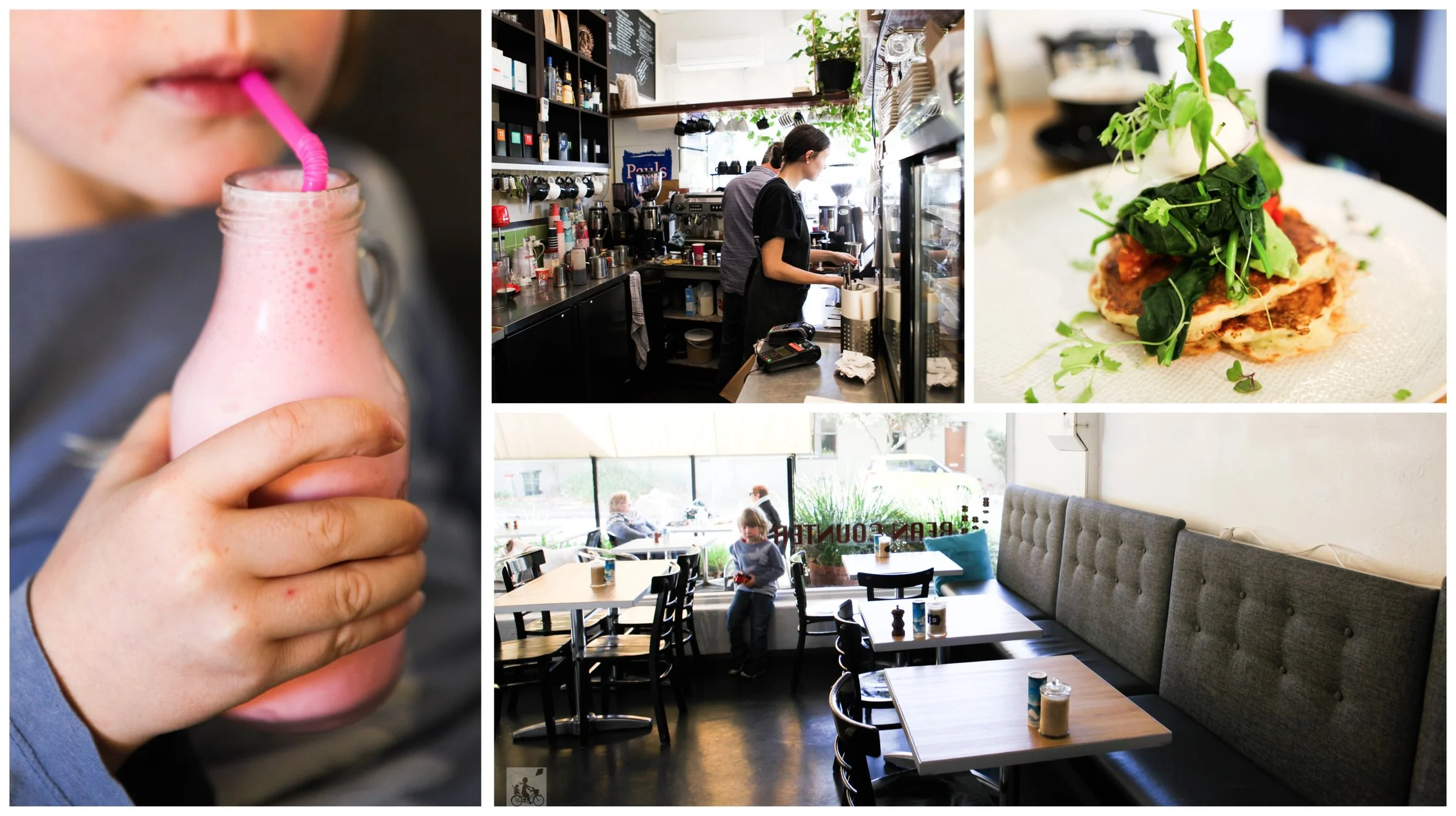 bean counter, fairfield