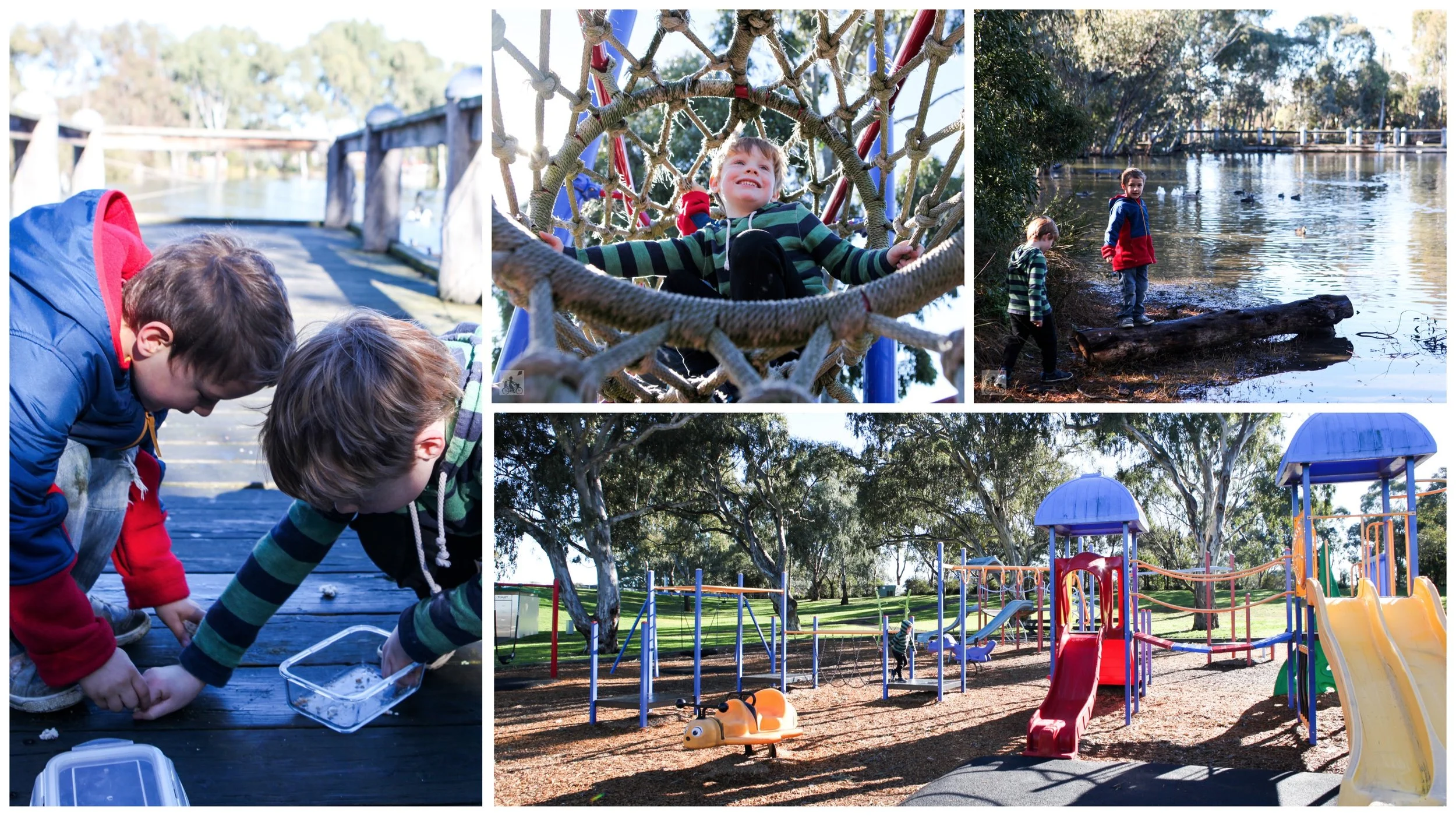 redleap reserve, mill park