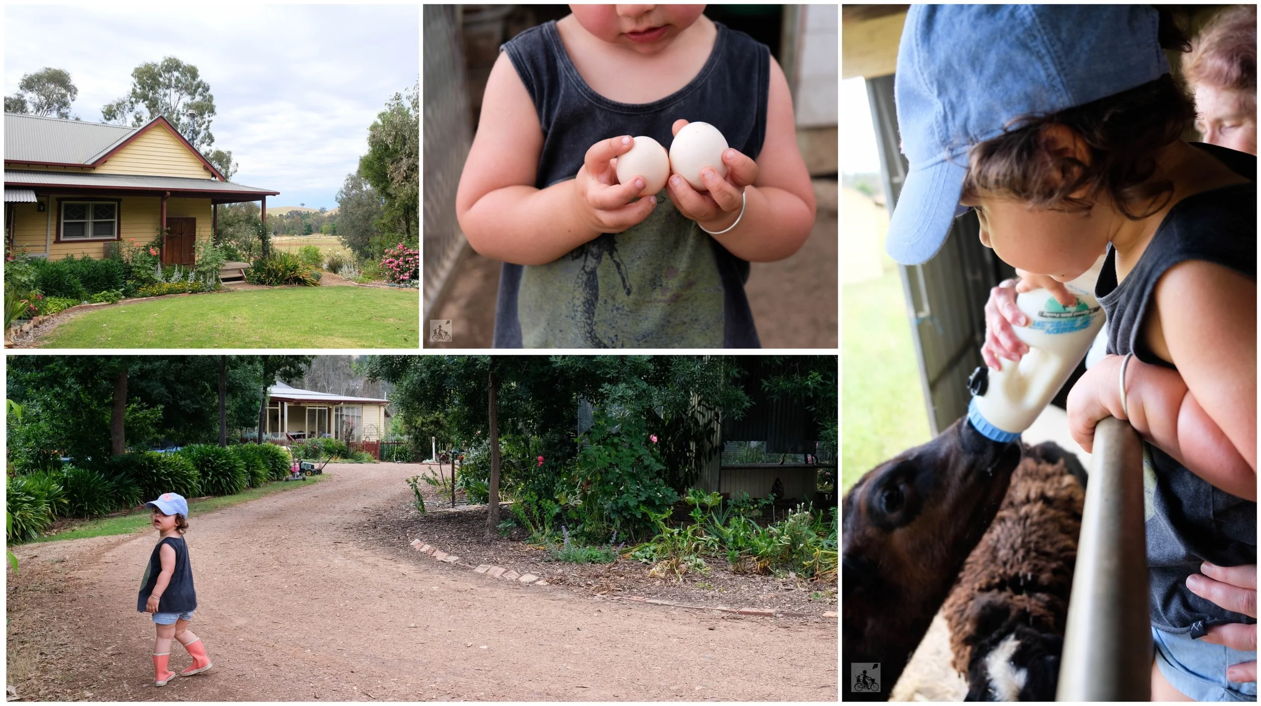 fawcett farmstay cottages, alexandra