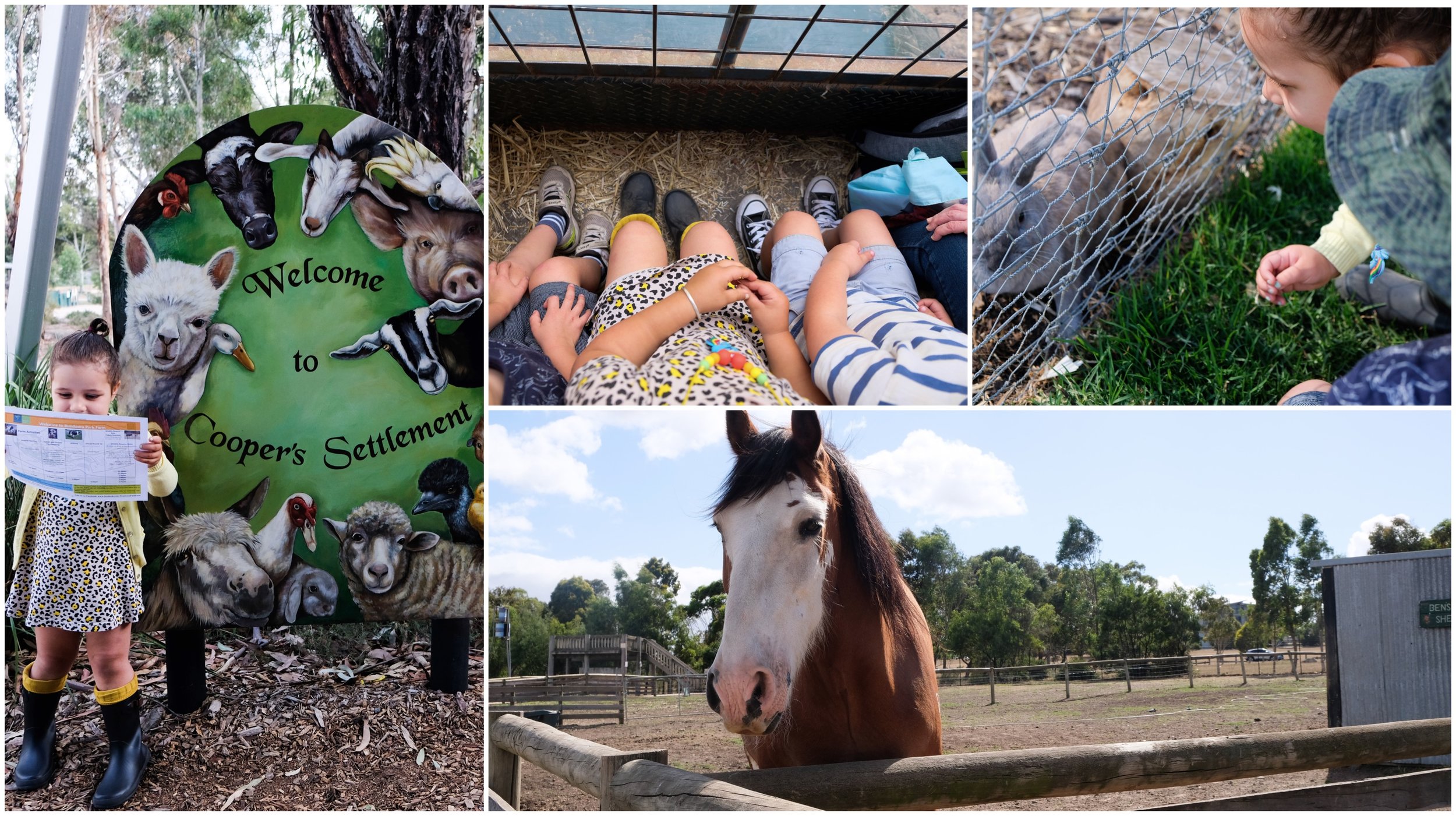 bundoora park farm, bundoora