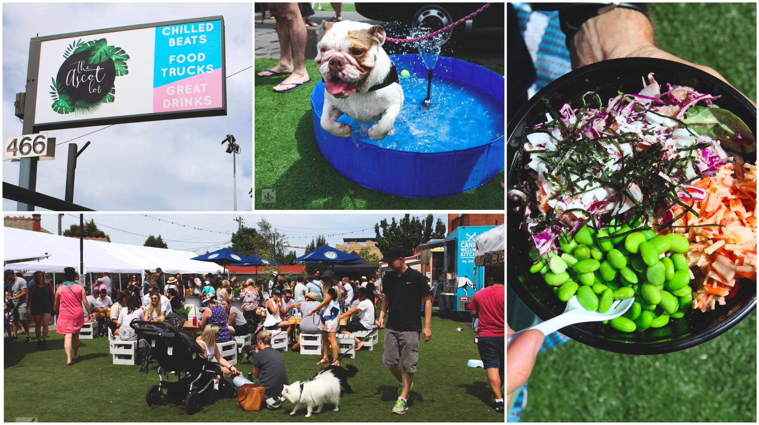 the ascot lot, ascot vale