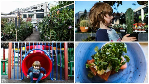 poyntons nursery and cafe, essendon