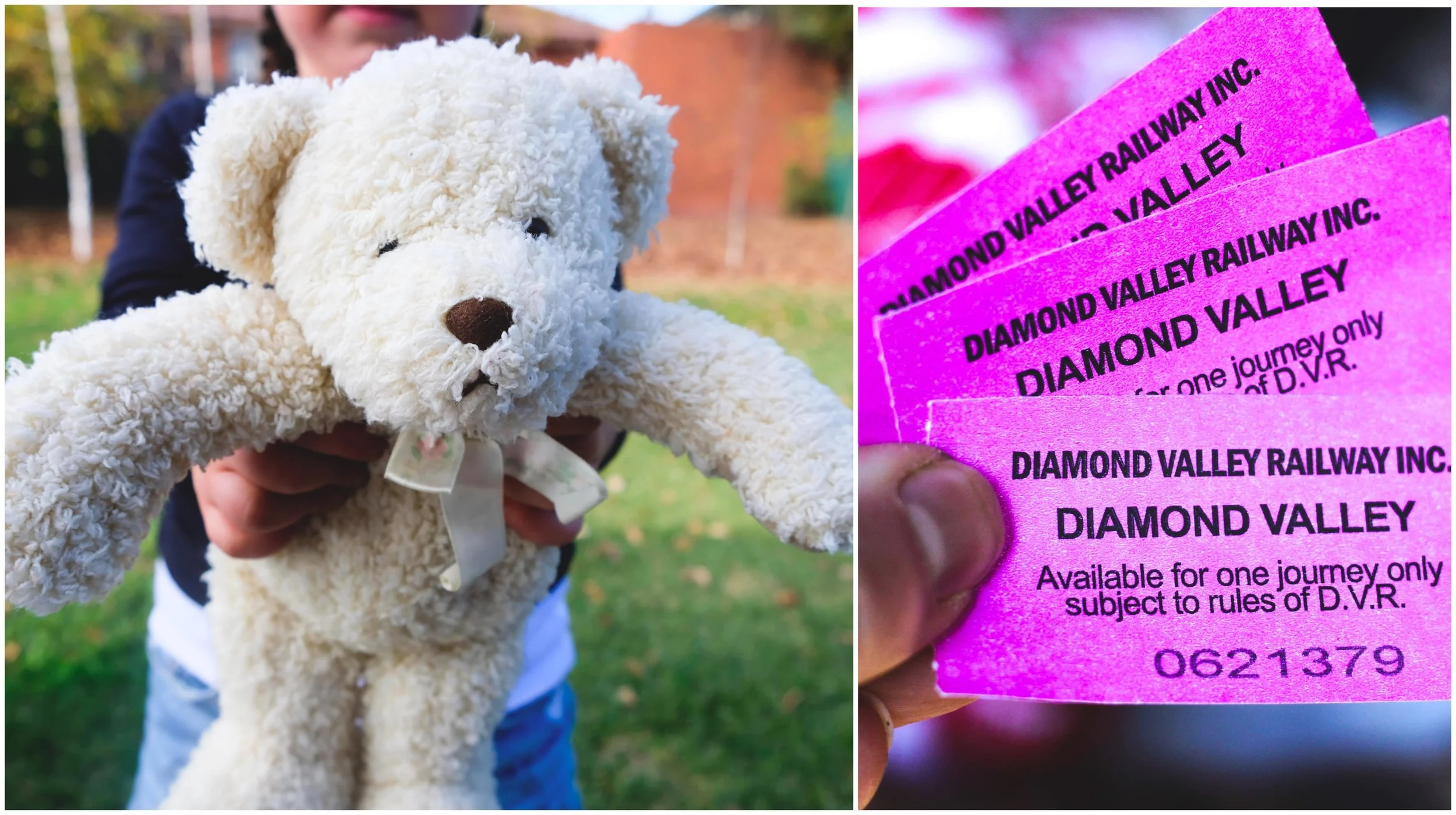 diamond valley railway, eltham