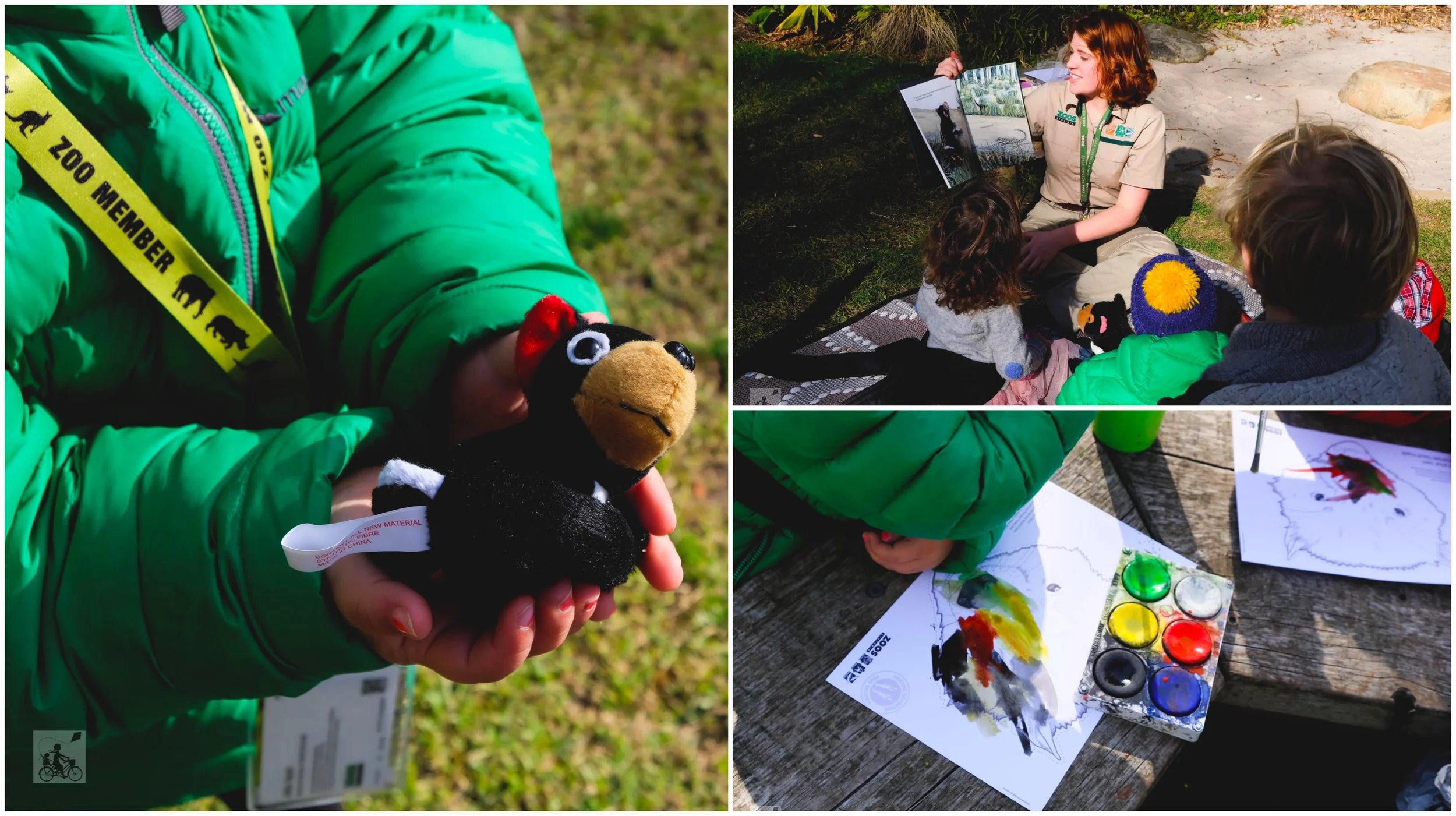 tasmanian devil tuesdays @ melbourne zoo