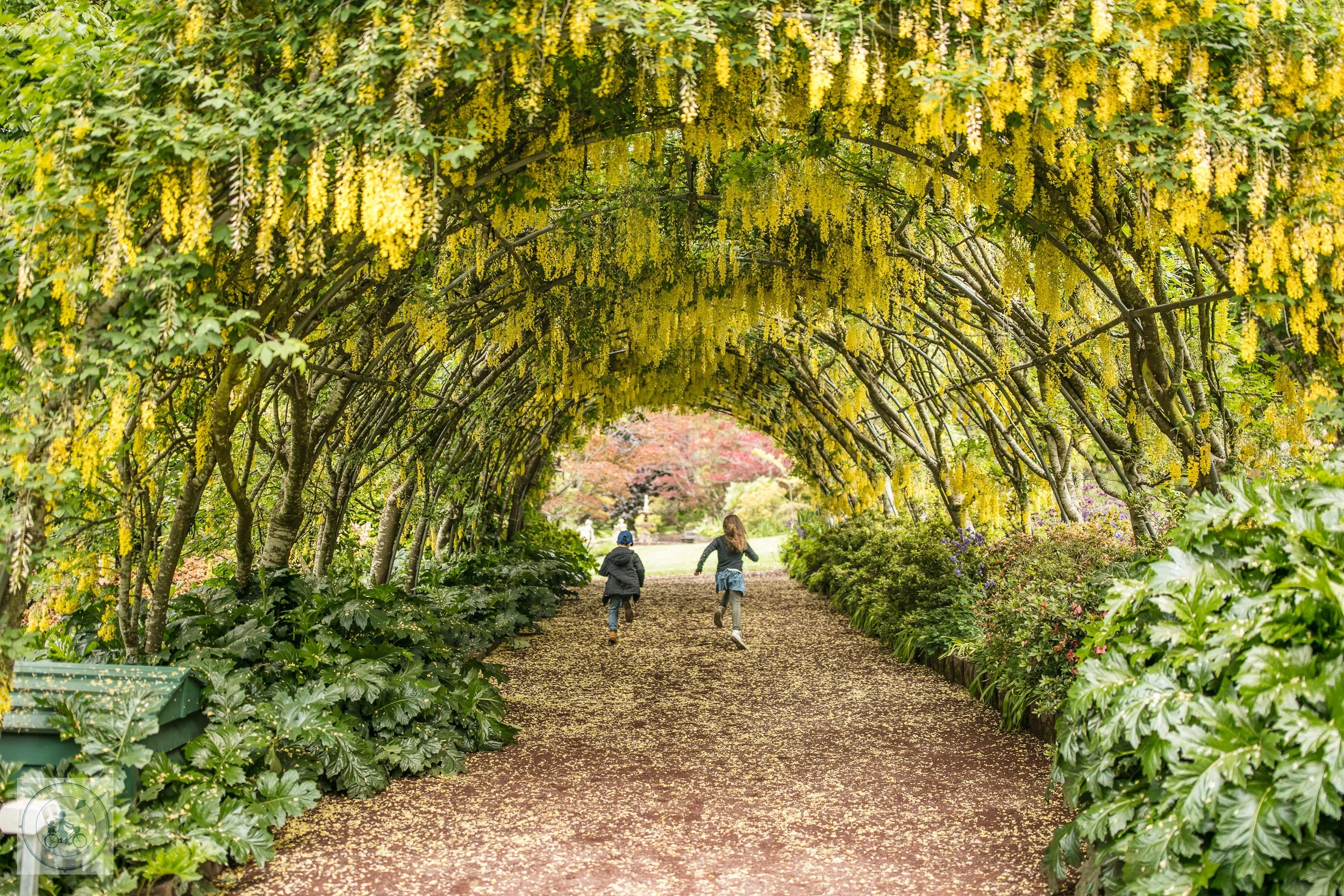 forest glade gardens mount macedon — mamma knows north