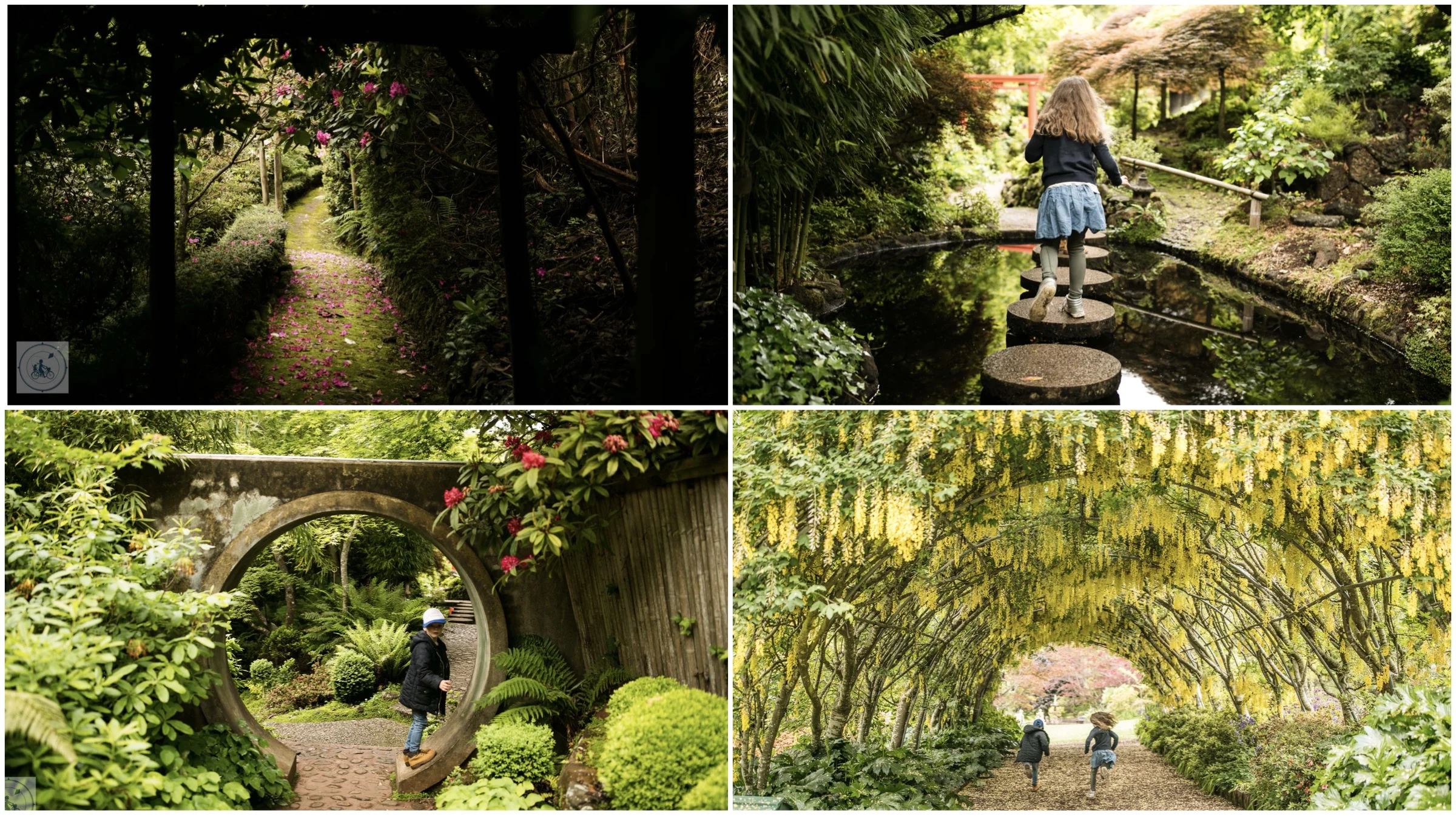 forest glade gardens @ mount macedon