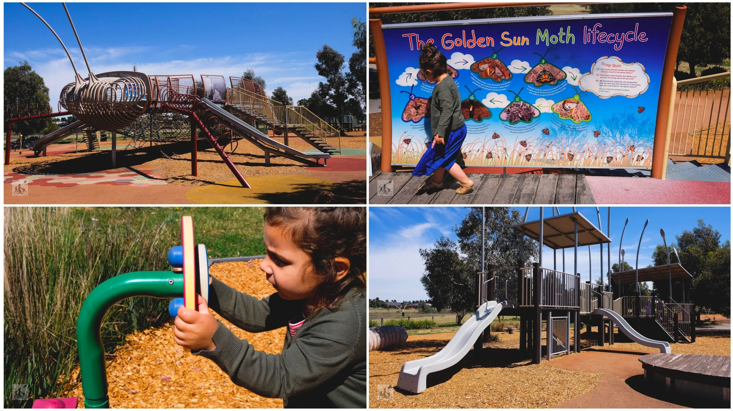 golden sun moth park, craigieburn