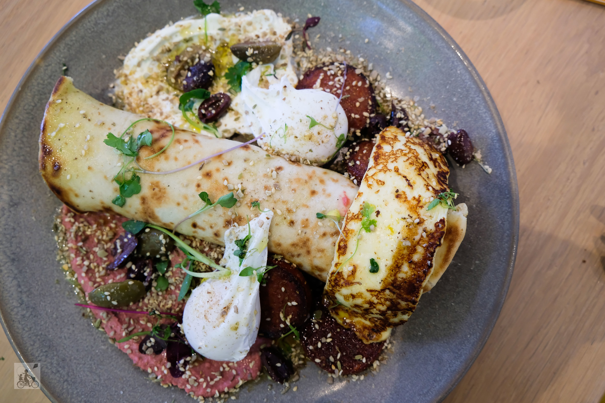 captain grey, essendon - mamma knows north