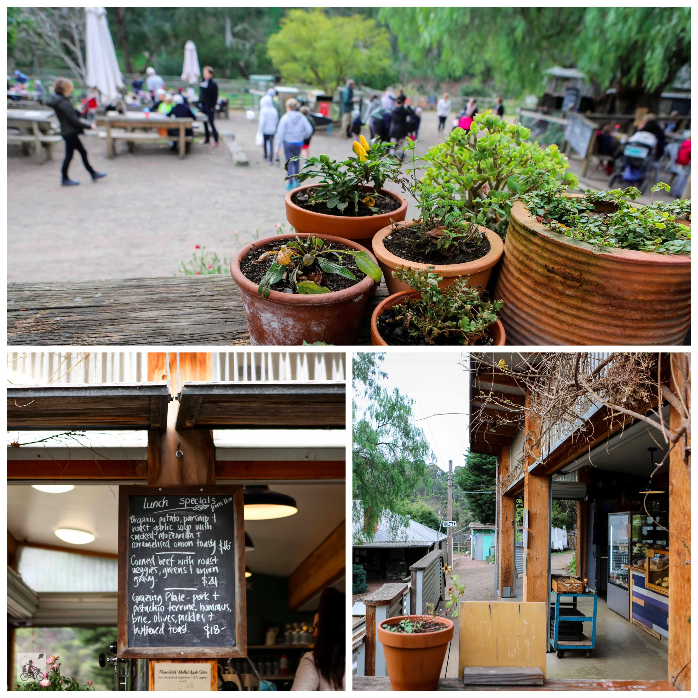 02b The Farm Cafe Abbotsford - Mamma Knows East (1 of 19).jpg